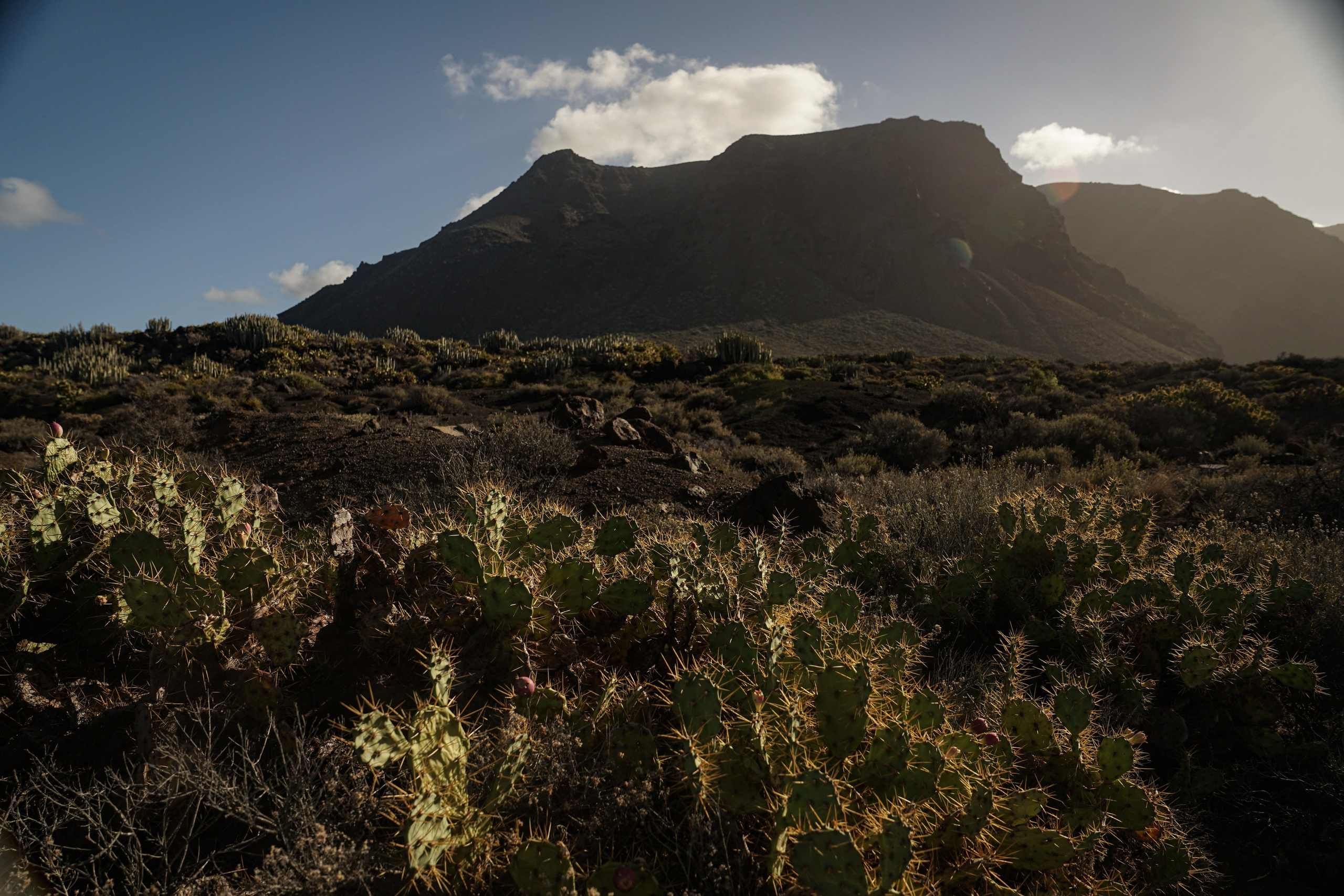 Tenerife. Фотограф и видеограф в Израиле Соня Скай