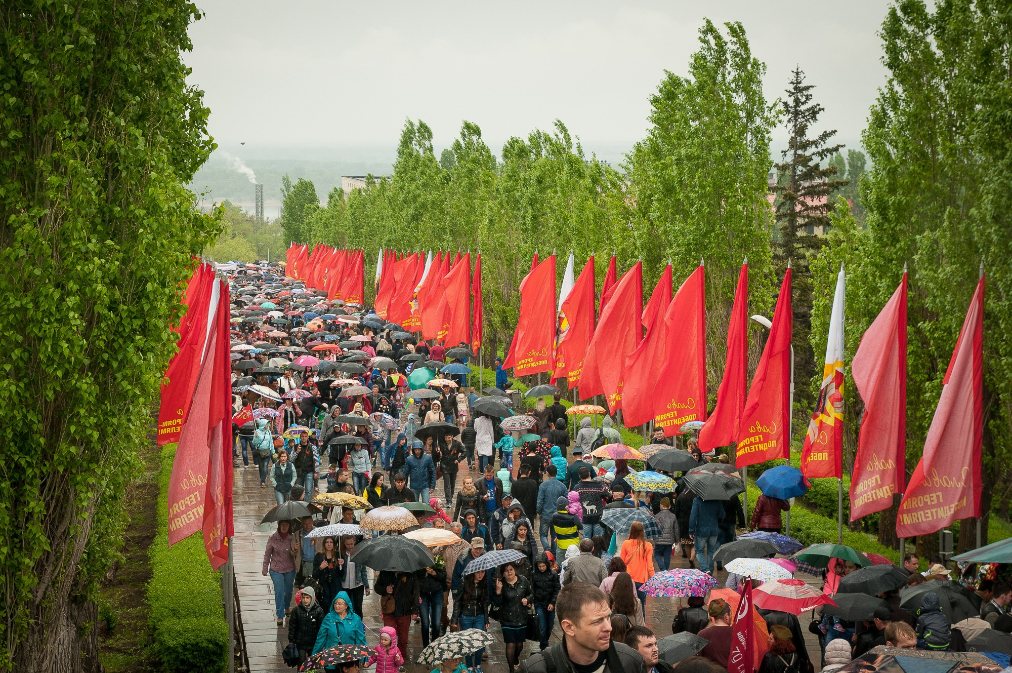 Потом людей на Аллее пирамидальных тополей во время шествия "Бессмертного полка"