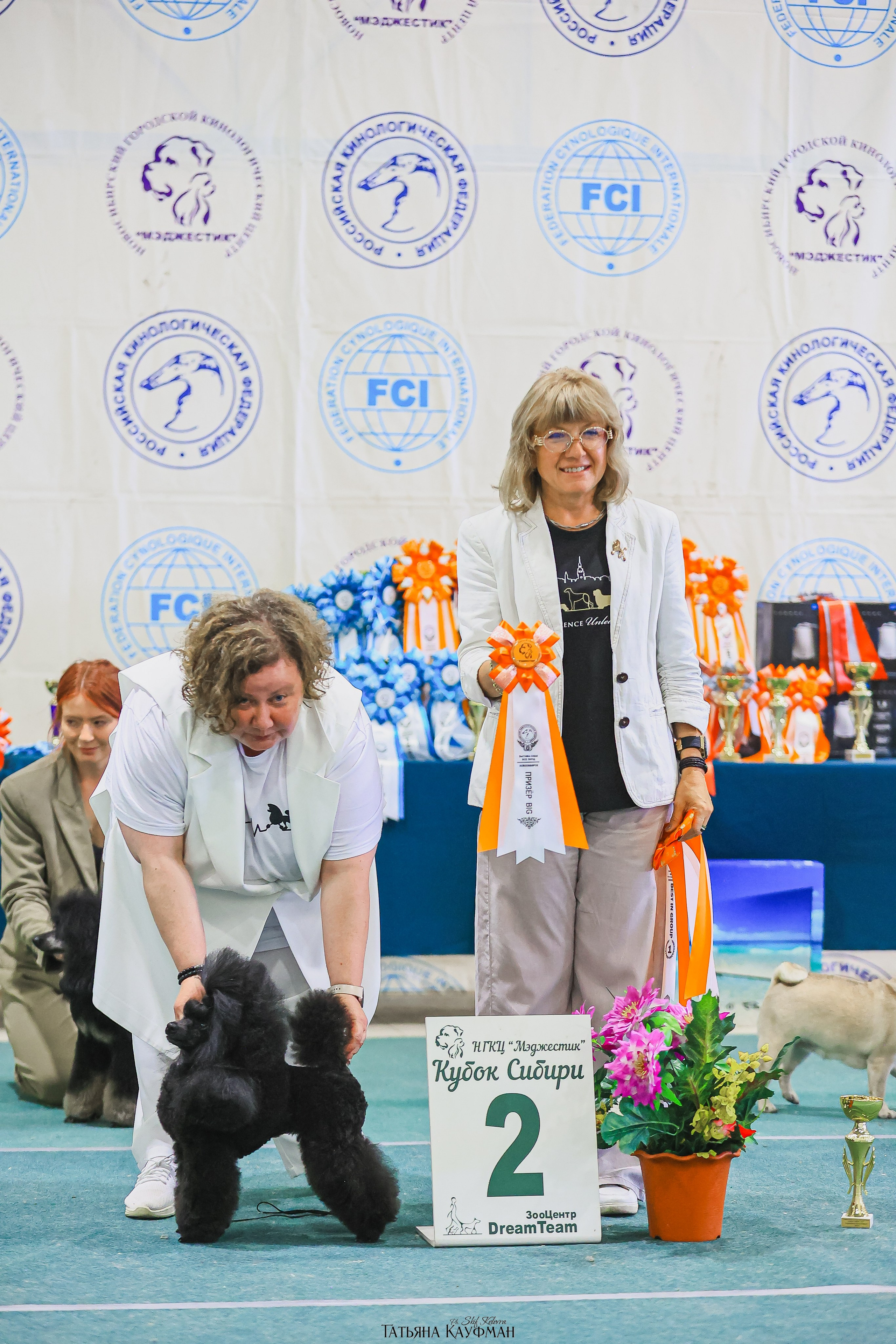 13.07.25 2х выставки собак. Новосибирск. «Кубок Сибири»