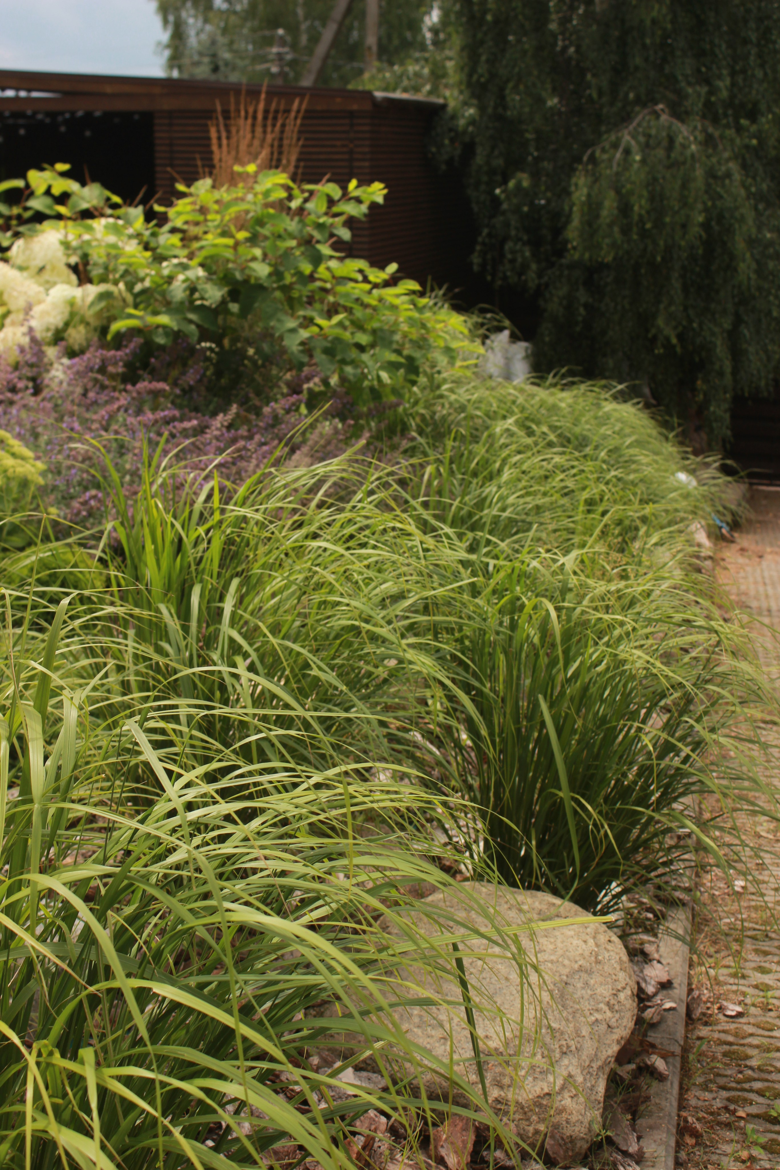 GARDEN IN S. LA. Ландшафтный дизайн в Минске и Гродно