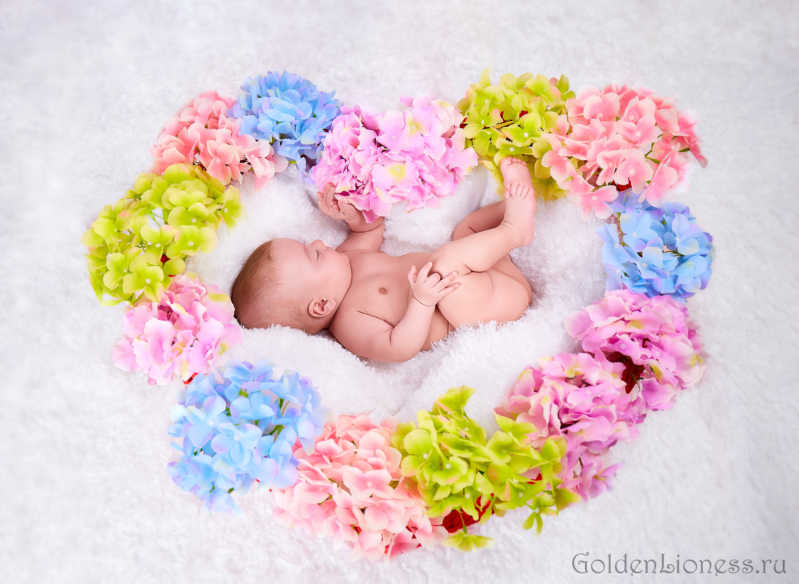 GoldenLioness | Фотосессия новорожденных детей (newborn) Москва