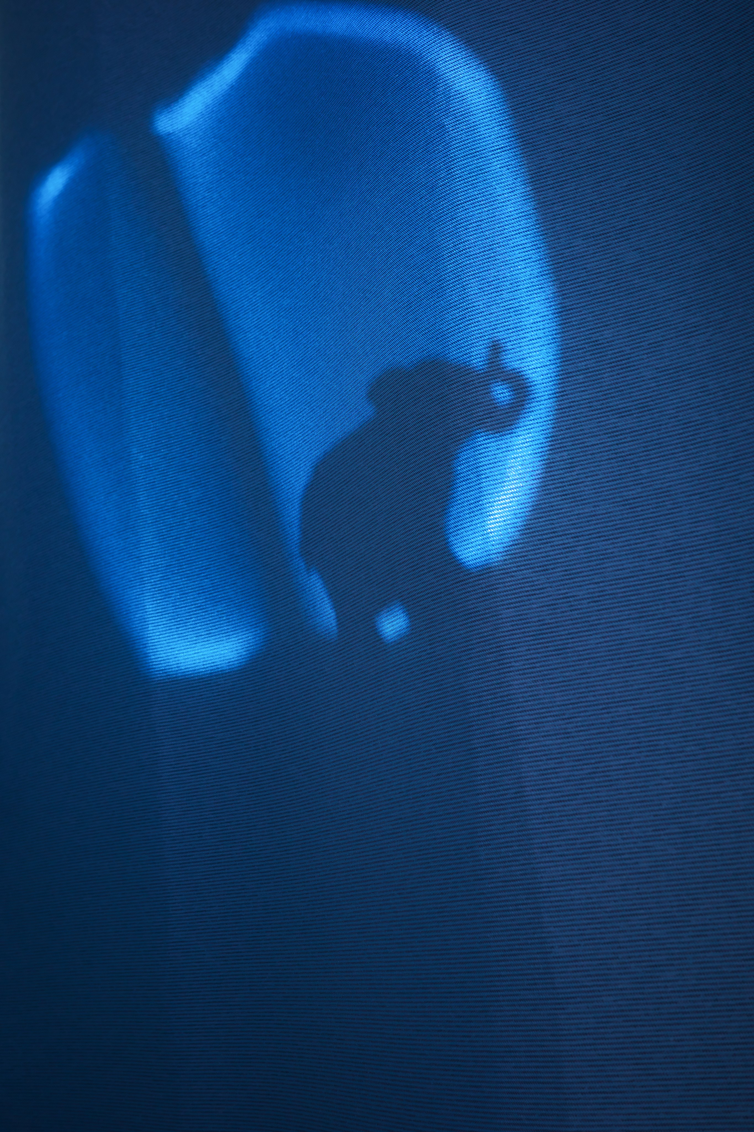 Тени весны 🪼. Миша Печёнкин | фотография