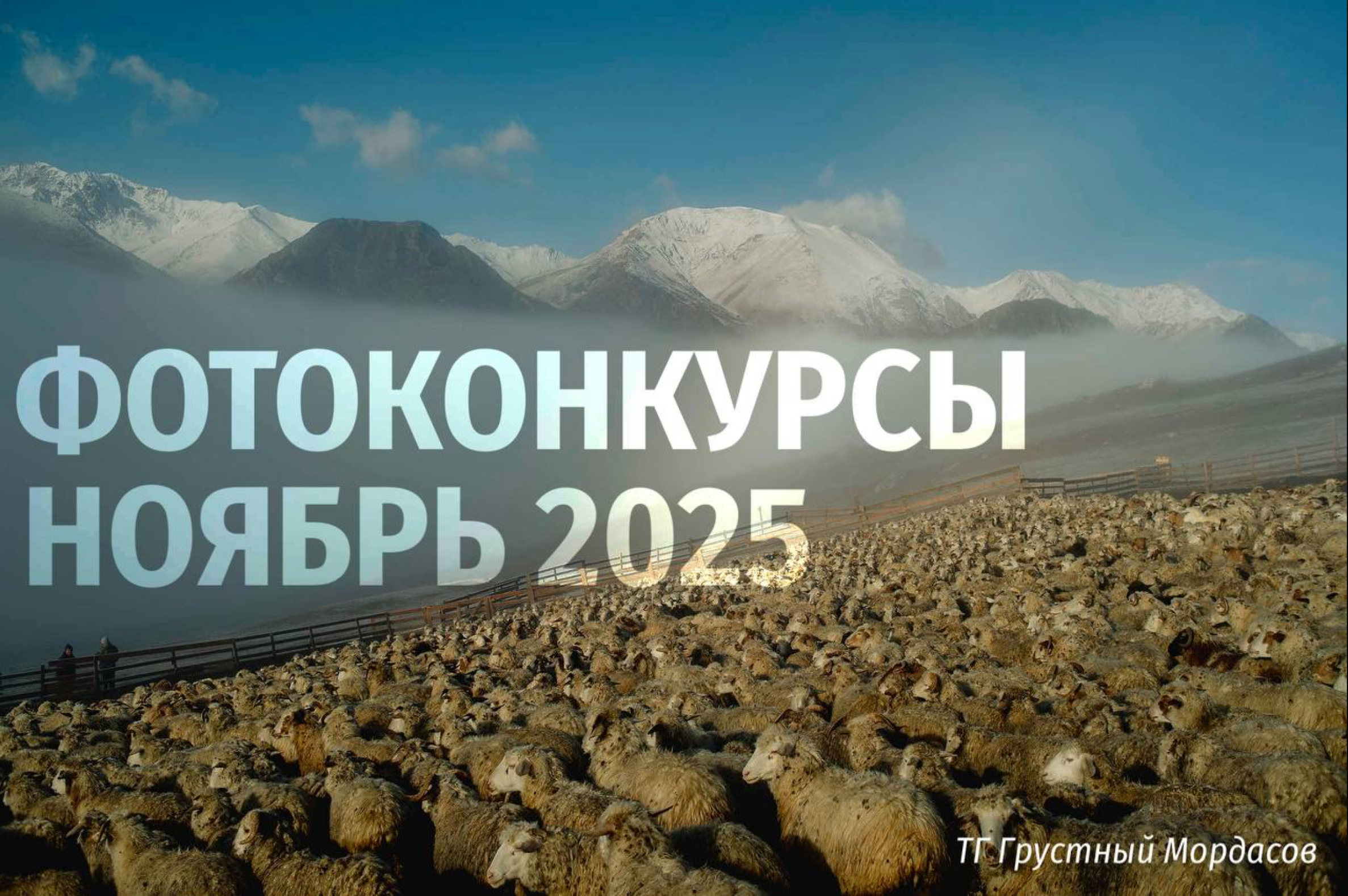 Роль текста в изображении. Фотограф Михаил Мордасов, Сочи. Мероприятия, портреты, спорт, репортаж