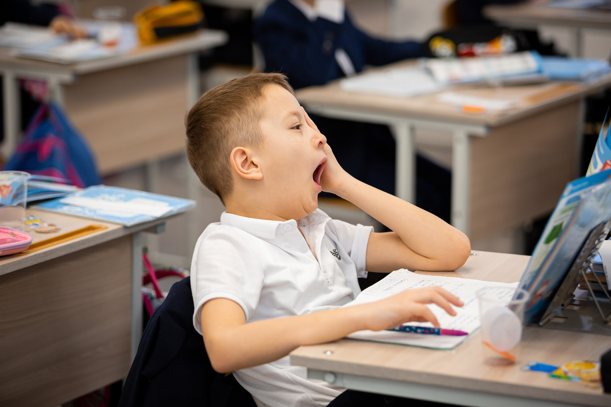 Первоклассники. Отбасылық фотограф Алена Шаталова