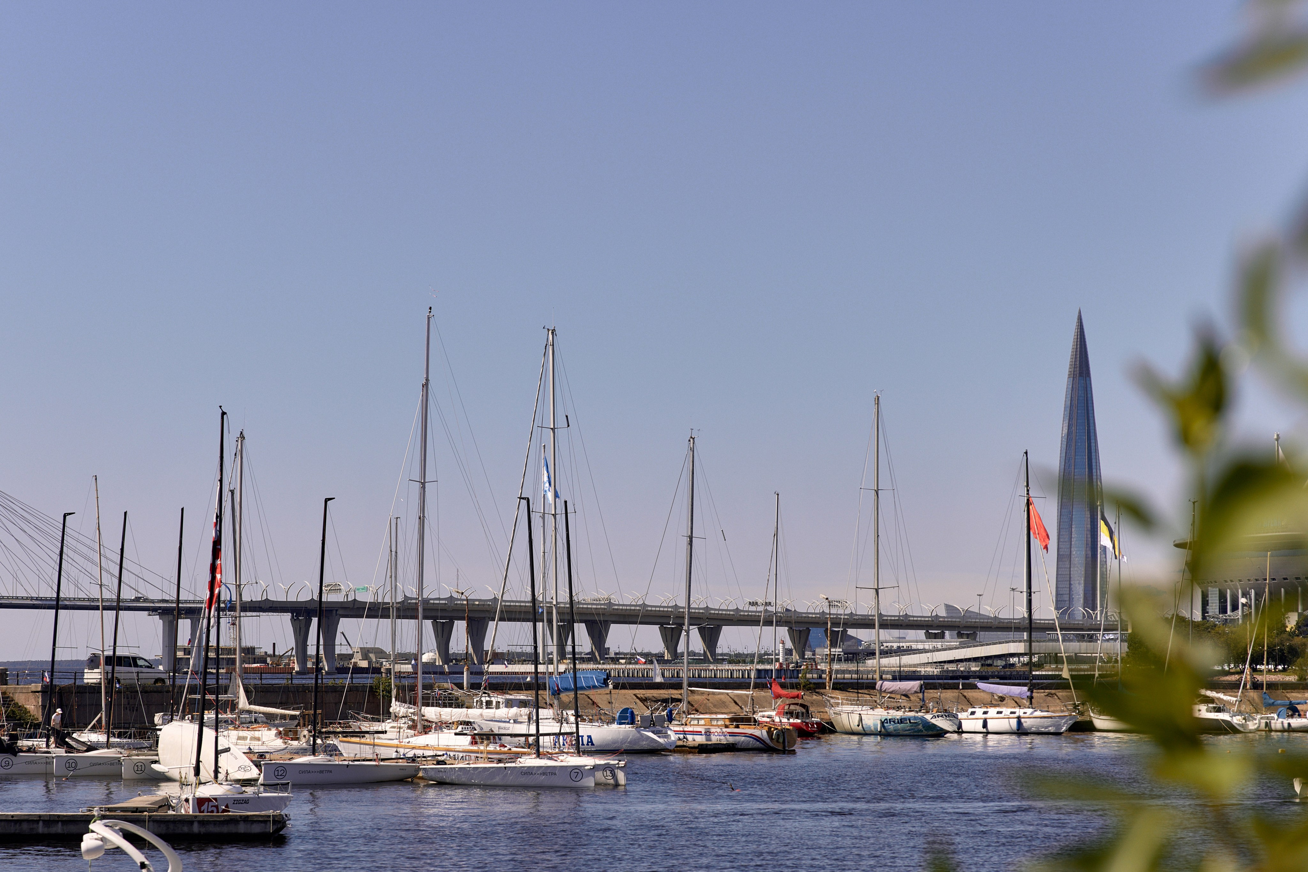 Василиса и Игорь. Свадебный фотограф в СПБ Станислав Молчанов