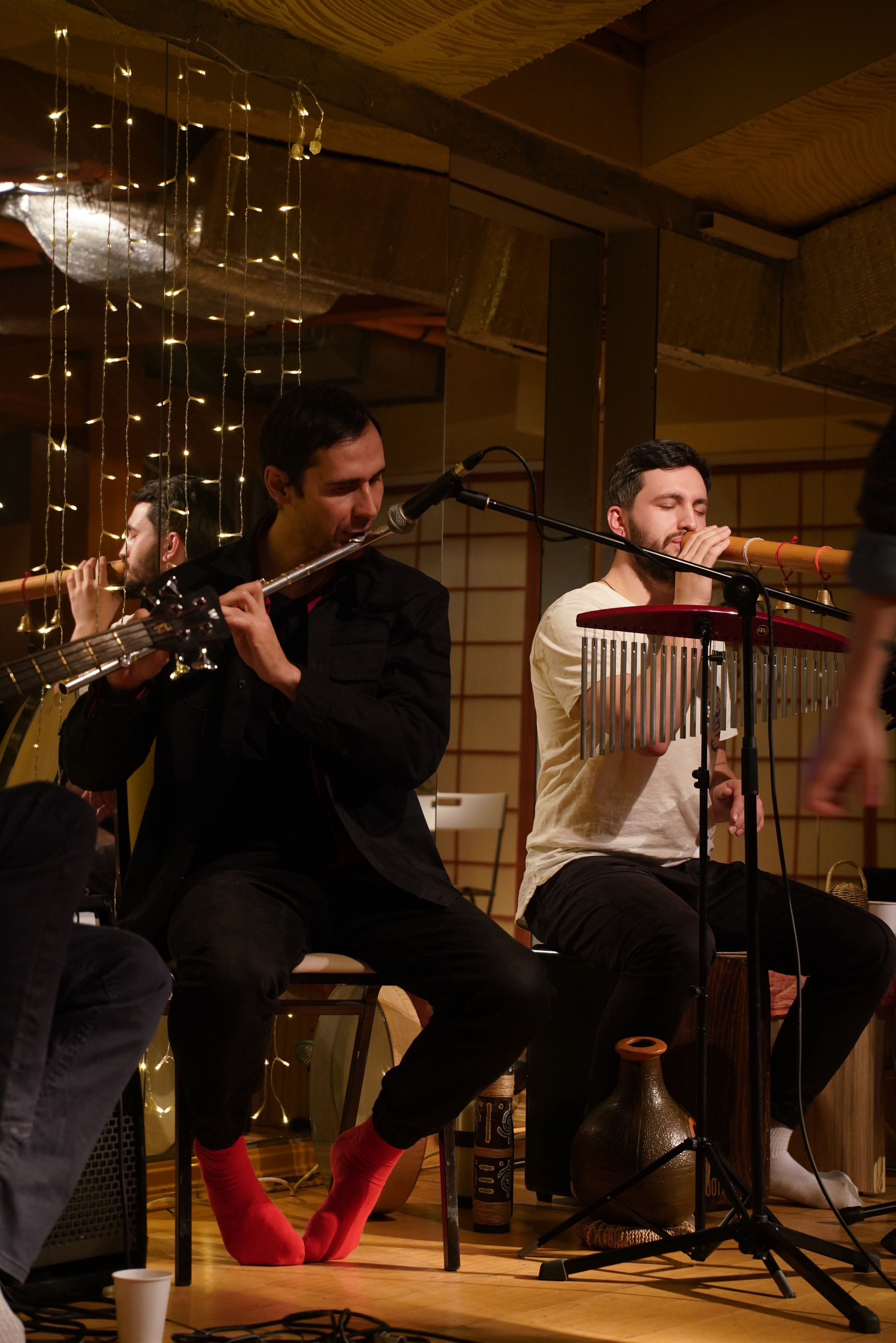 Концерт Forest jam project