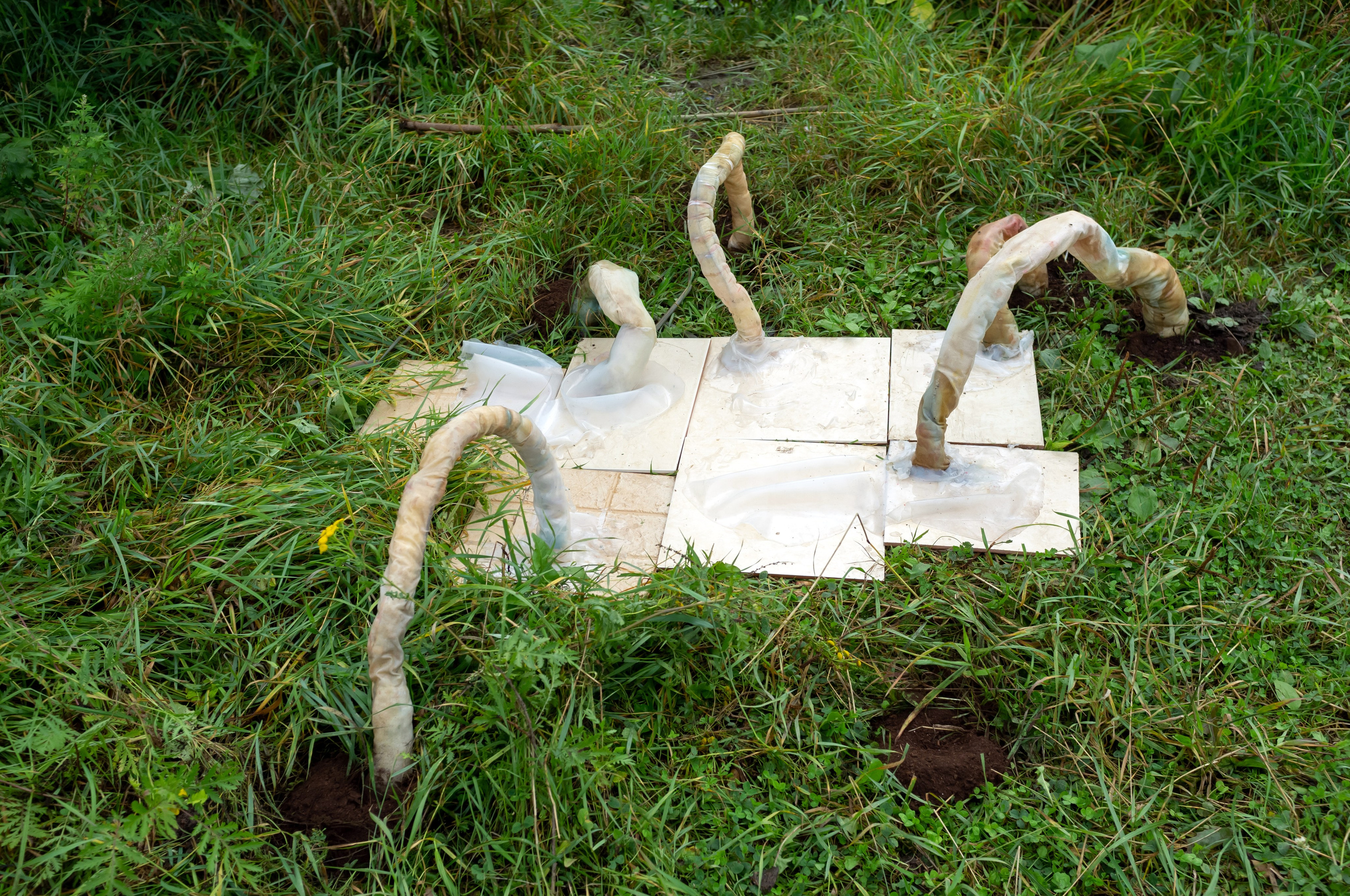 Красненькая биеннале 2025