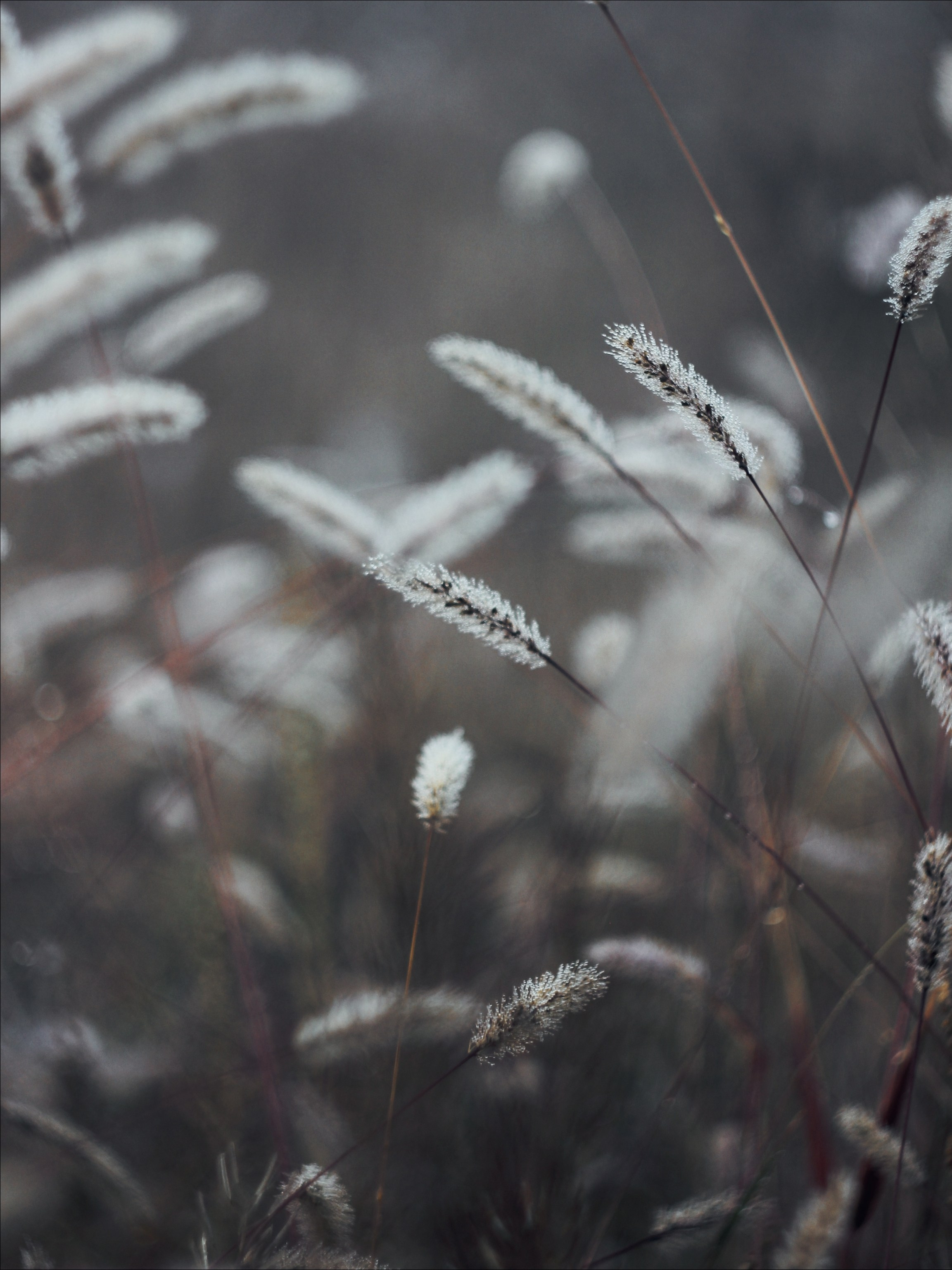 Опустошенность. С любовью, фотохудожник