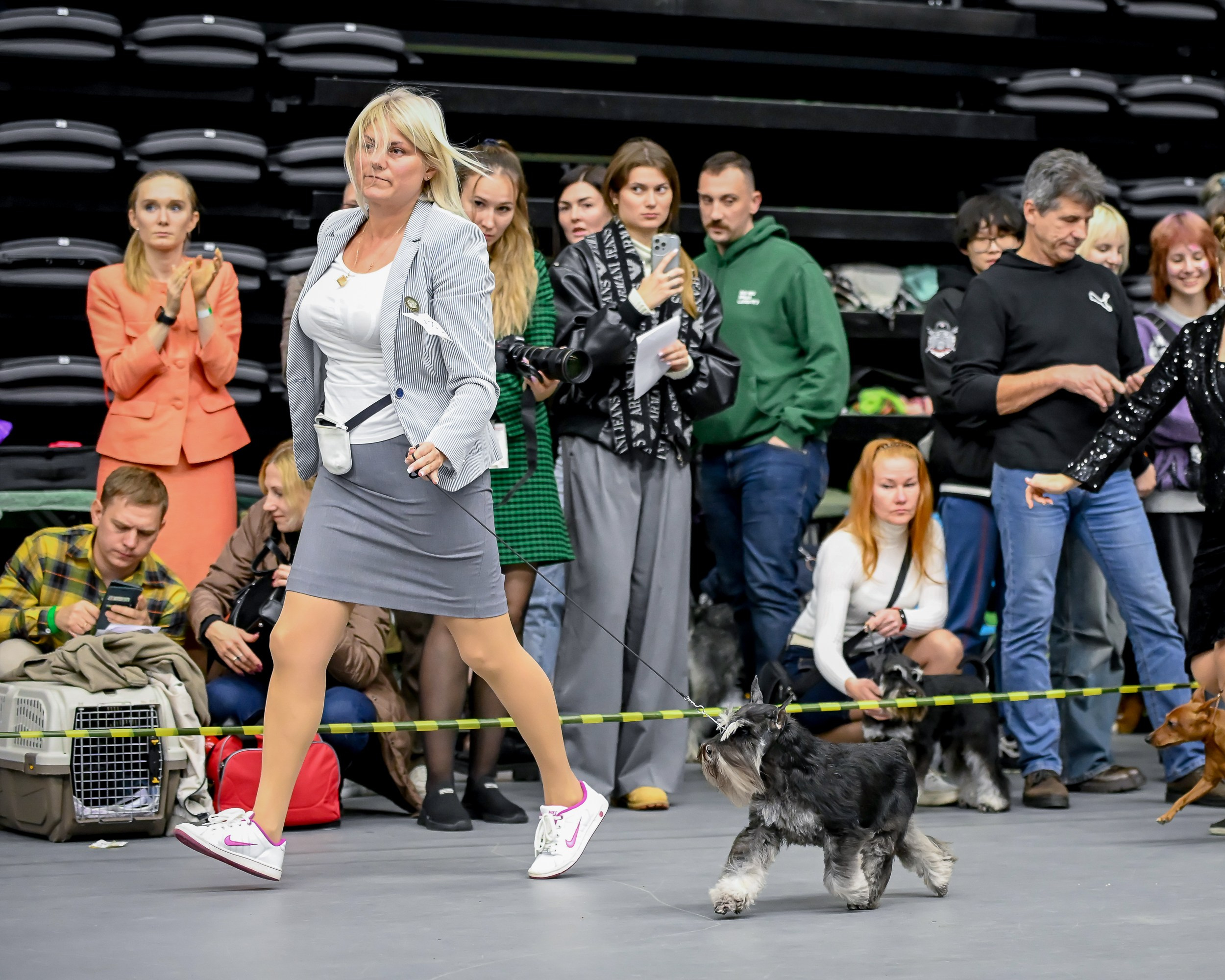 Питомник Делинсо Бэлэнс, щенки цвергшнауцера, купить щенка цвергшнауцера, питомник цвергшнауцеров, кобель цвергшнауцера для вязки, щенок цвергшнауцера, питомник цвергшнауцеров, черный с серебром, цверг, лучший питомник в беларуси, питомник цвергшнауцеров минск