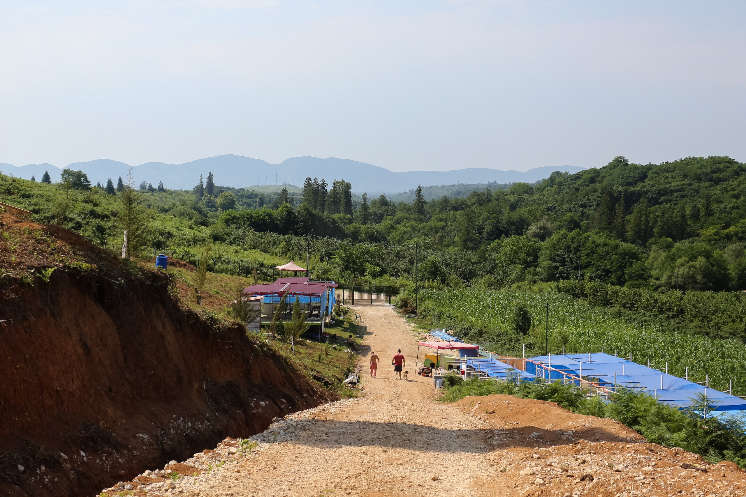 Ar Idardo. Marina Doctorova