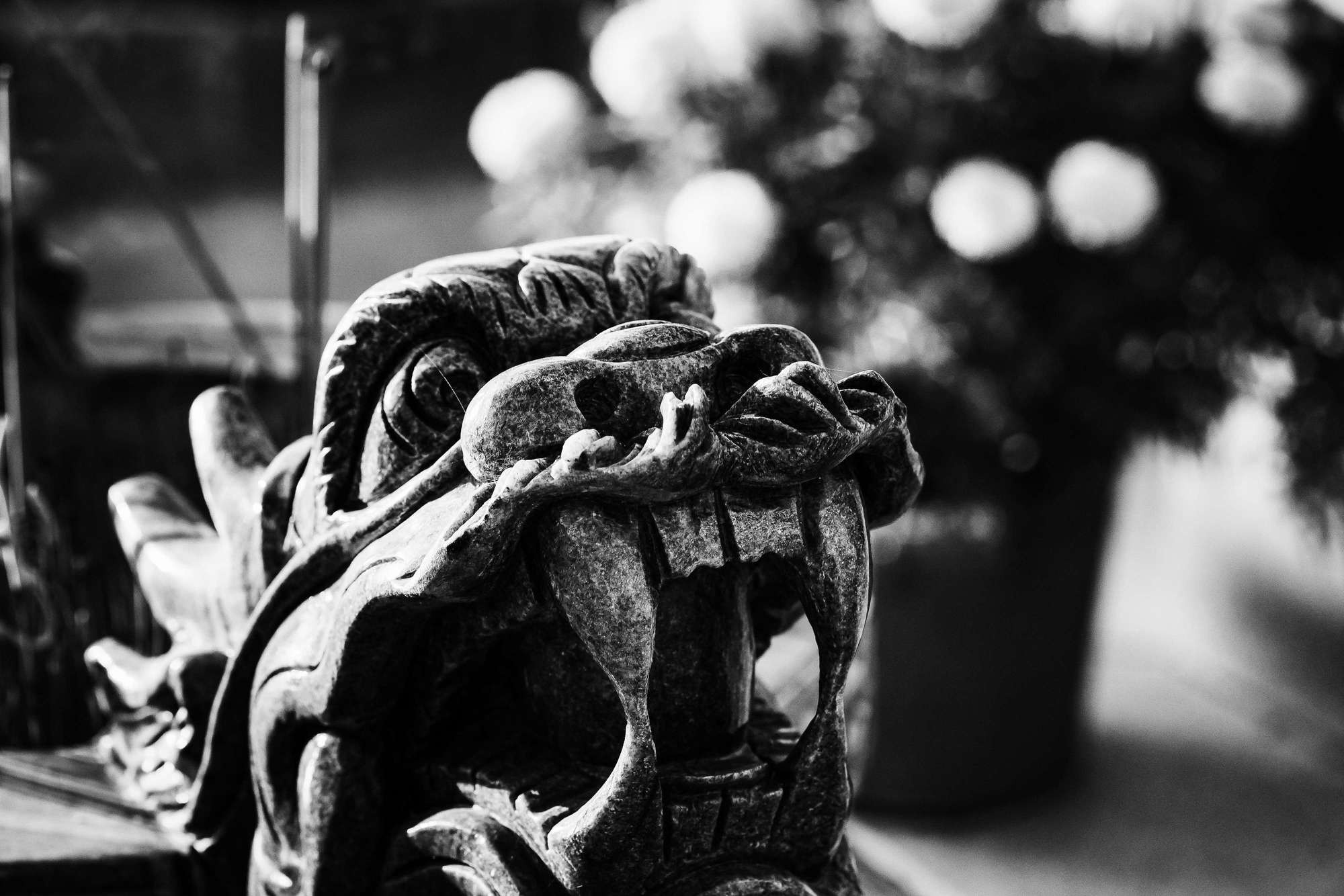 CUA CAN RIVER. Фотограф в Москве Людмила Денисенко