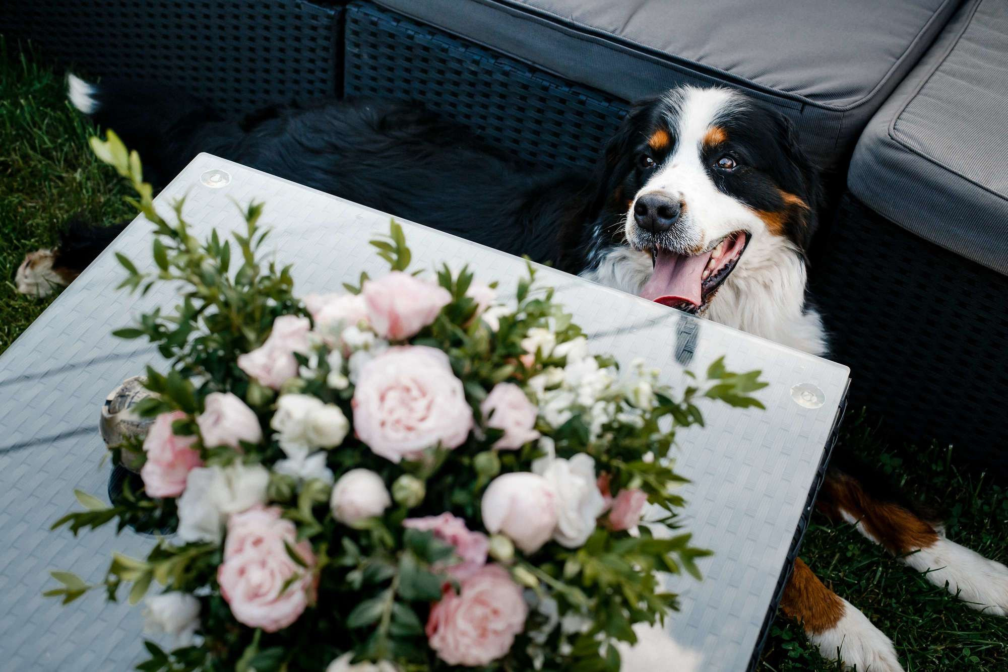ANTI-QUARANTINE WEDDING. Фотограф в Москве Людмила Денисенко