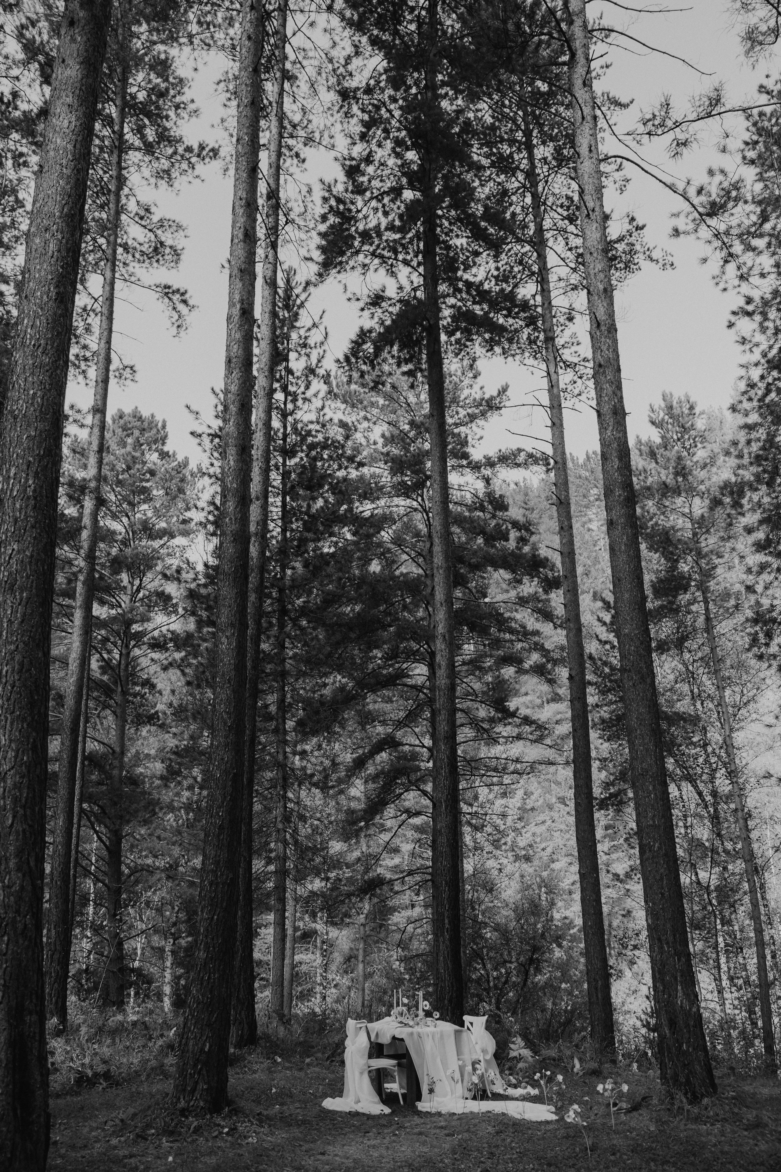 Егор и Юля. Организатор мероприятий в Абакане I Ольга Петухова