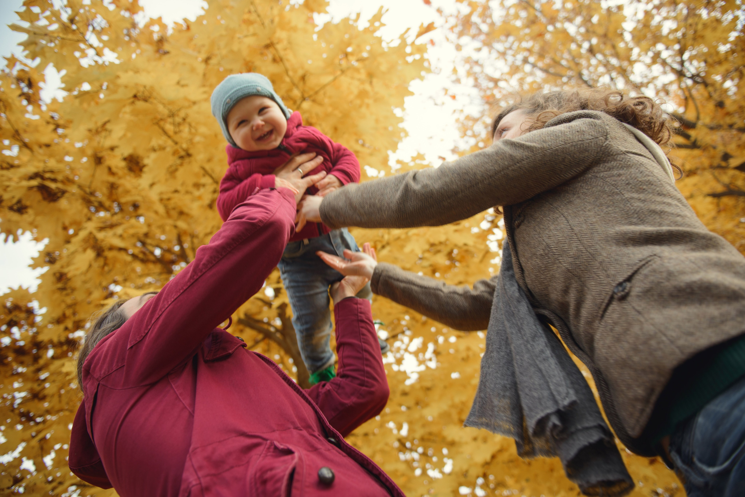 Family photo shoot in autumn. Photos with yellow leaves