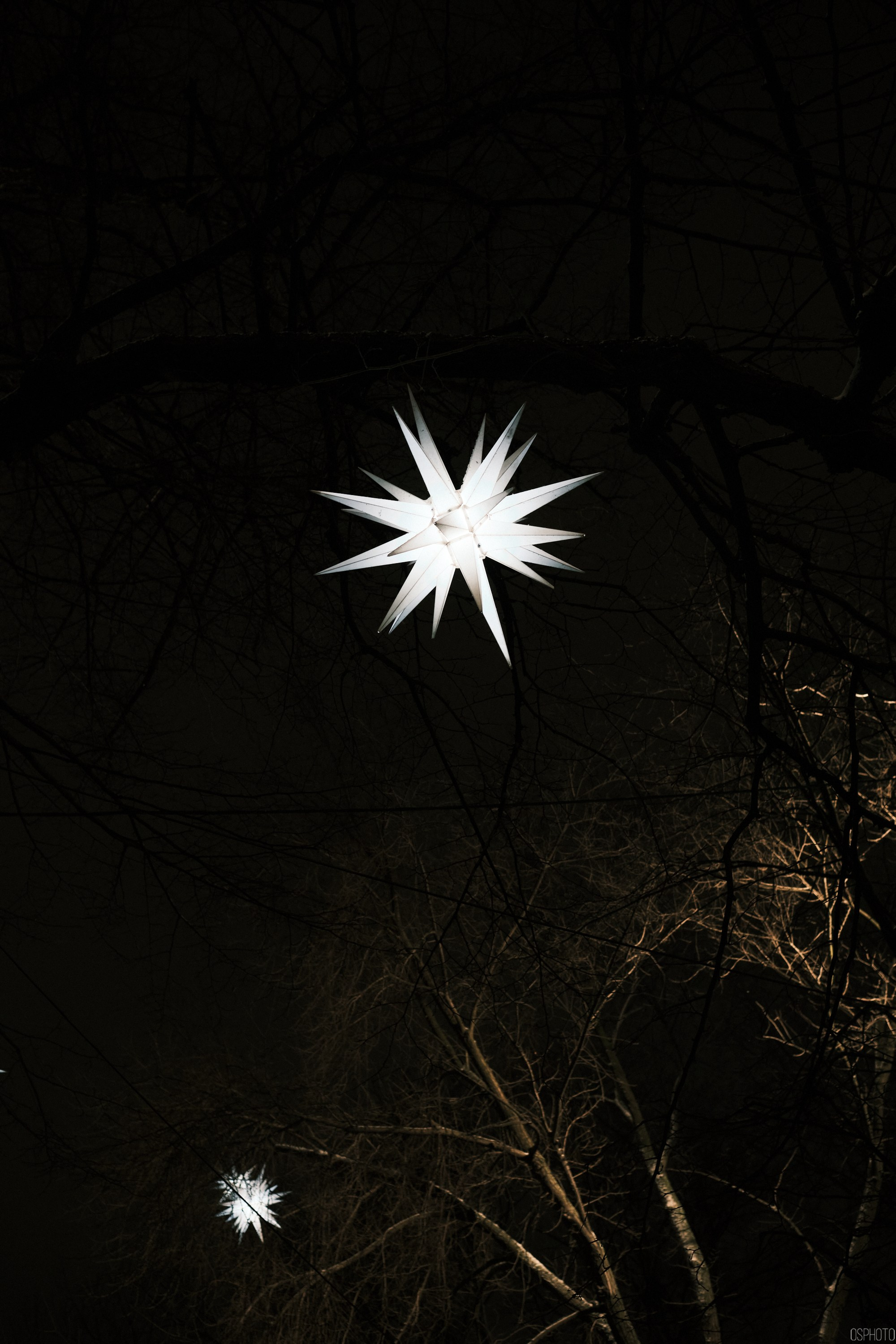 Снег и туман в Санкт-Петербурге. Фотографъ Сергѣевъ. Поймать мгновеніе