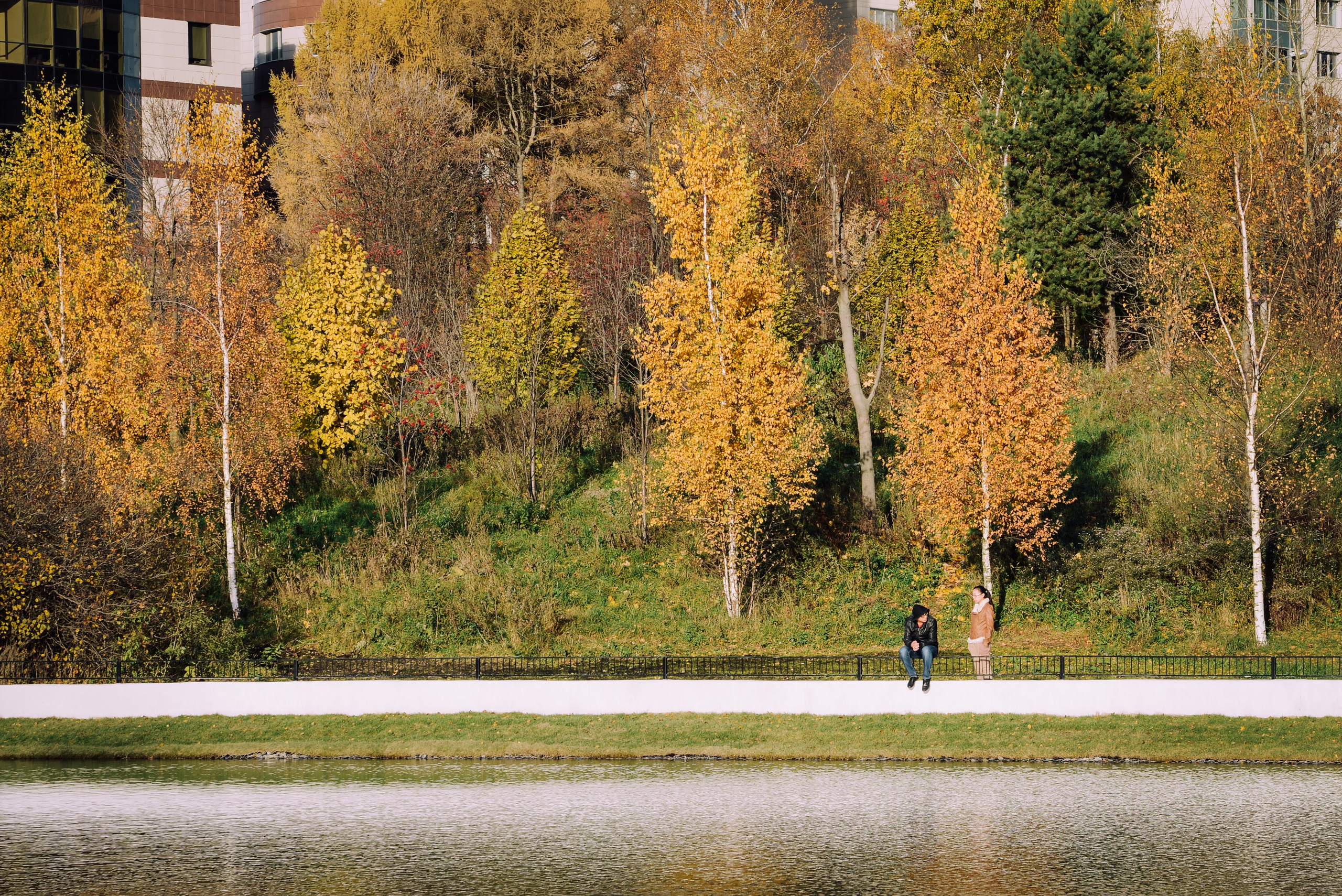 Autumn in a city park, nature background