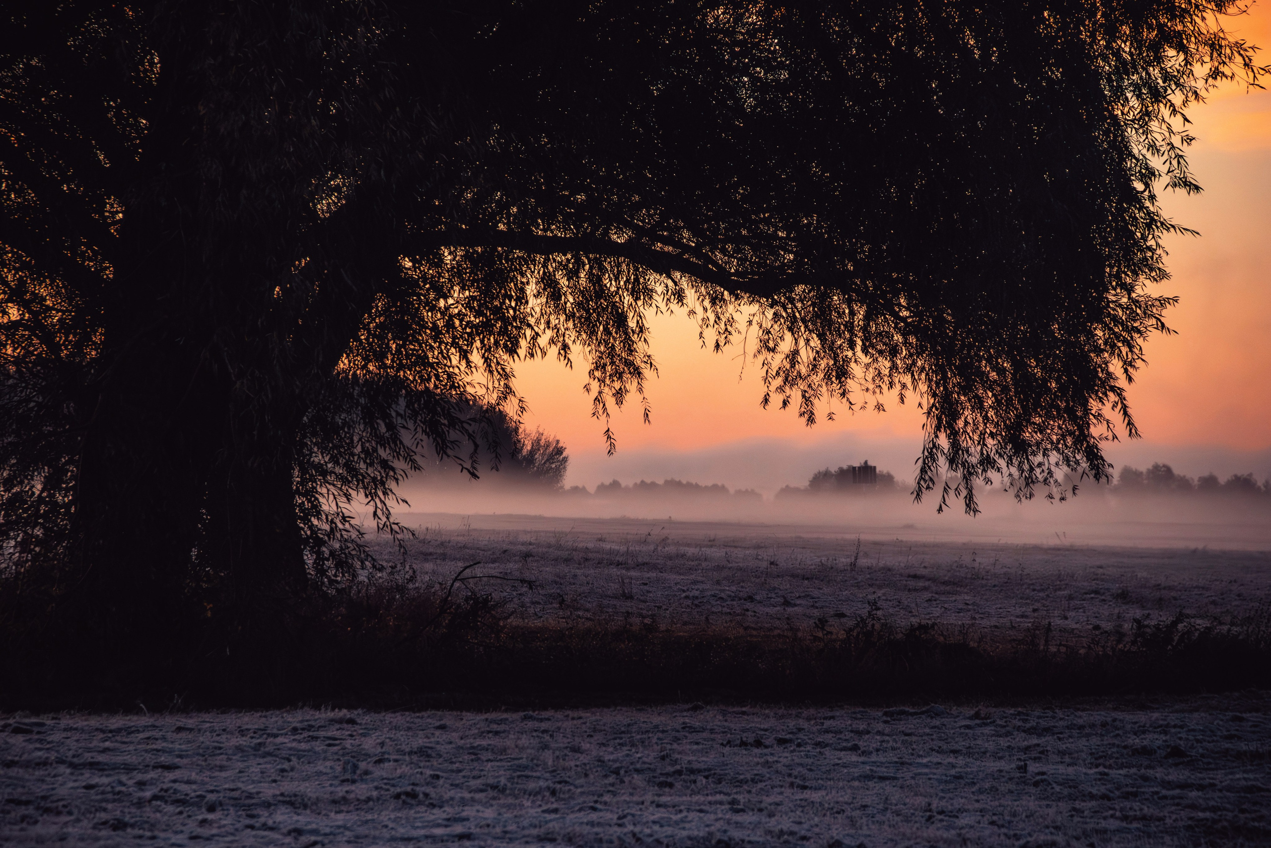 Волшебное утро в первый день октября. С любовью, фотохудожник