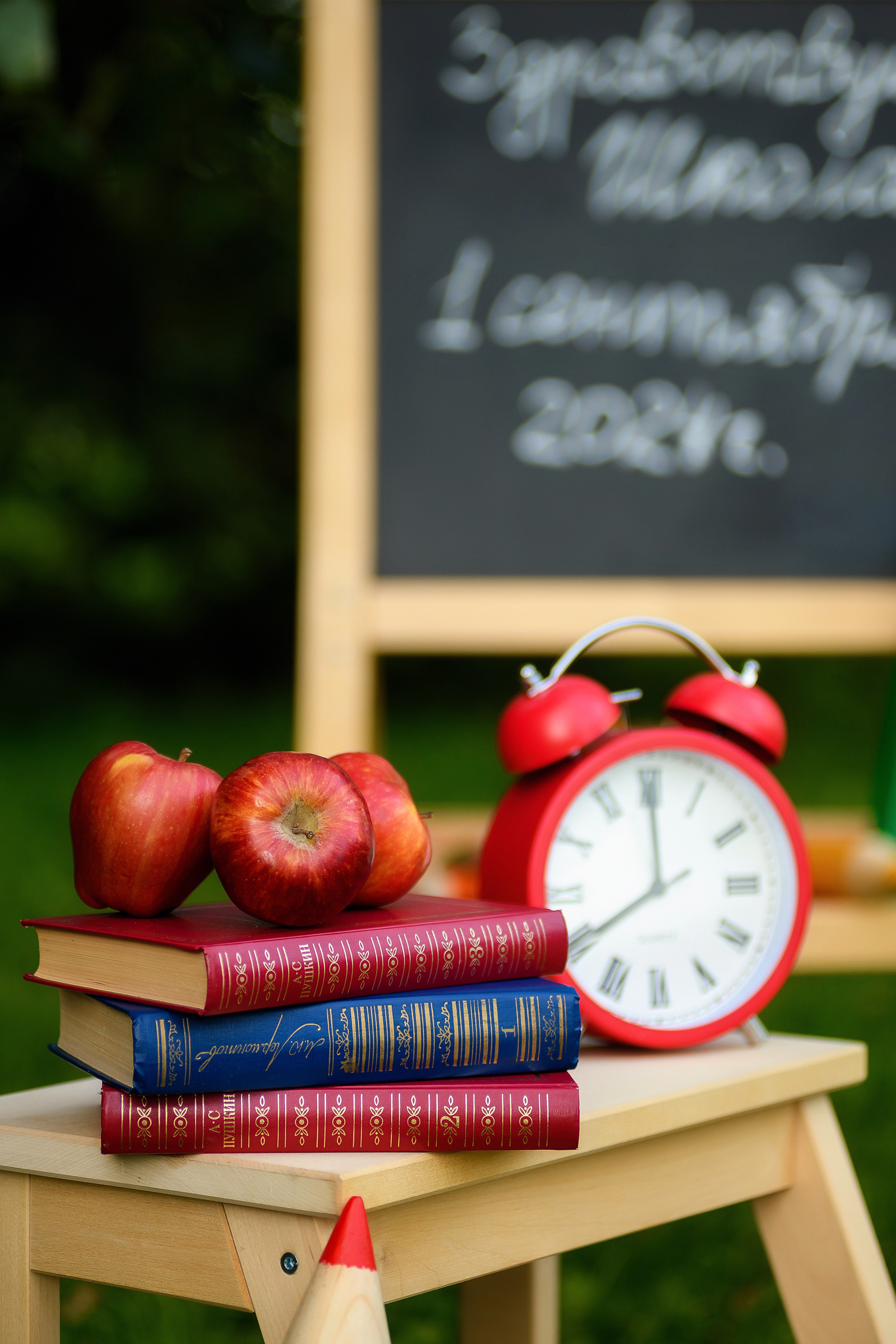 Фотопроект "Здравствуй школа". Первенцева Елена. Школьный фотограф в Москве и МО