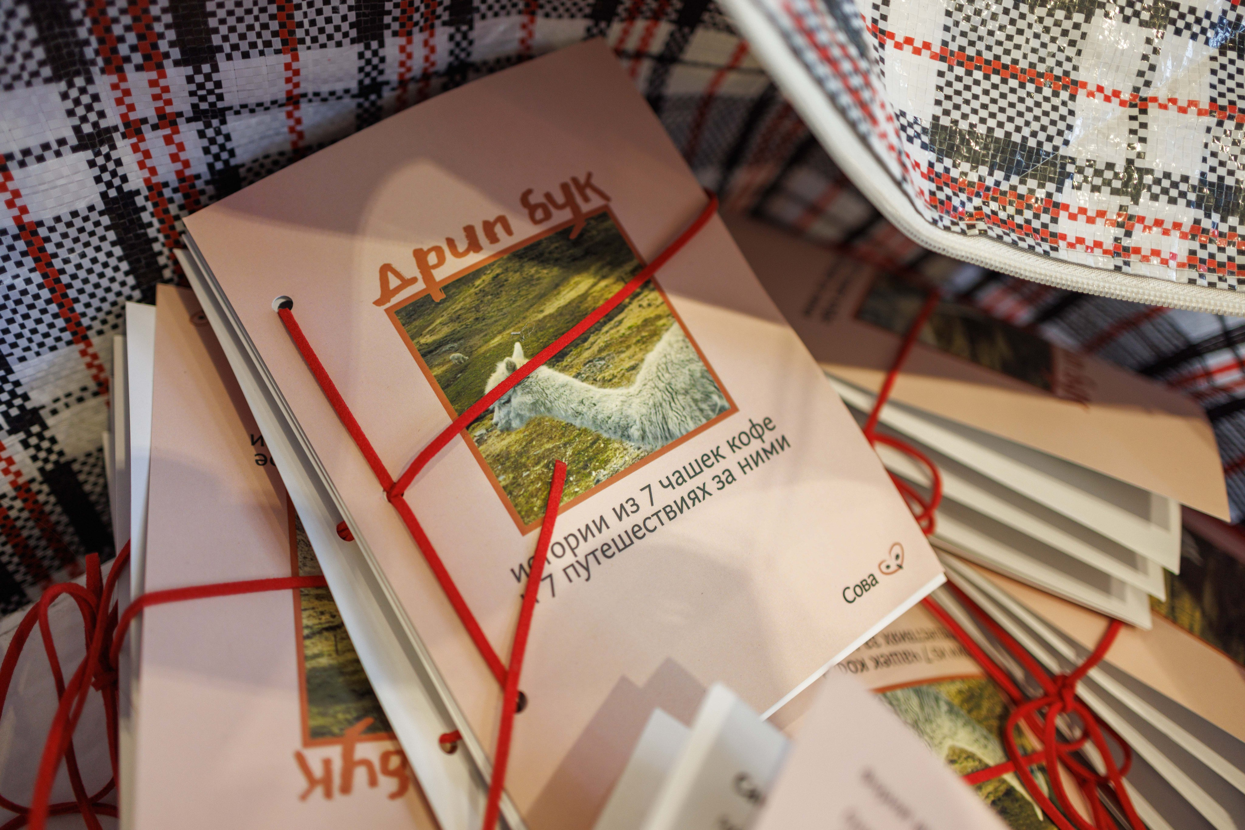 Флоу фест 2025. Фотограф Балаев Михаил