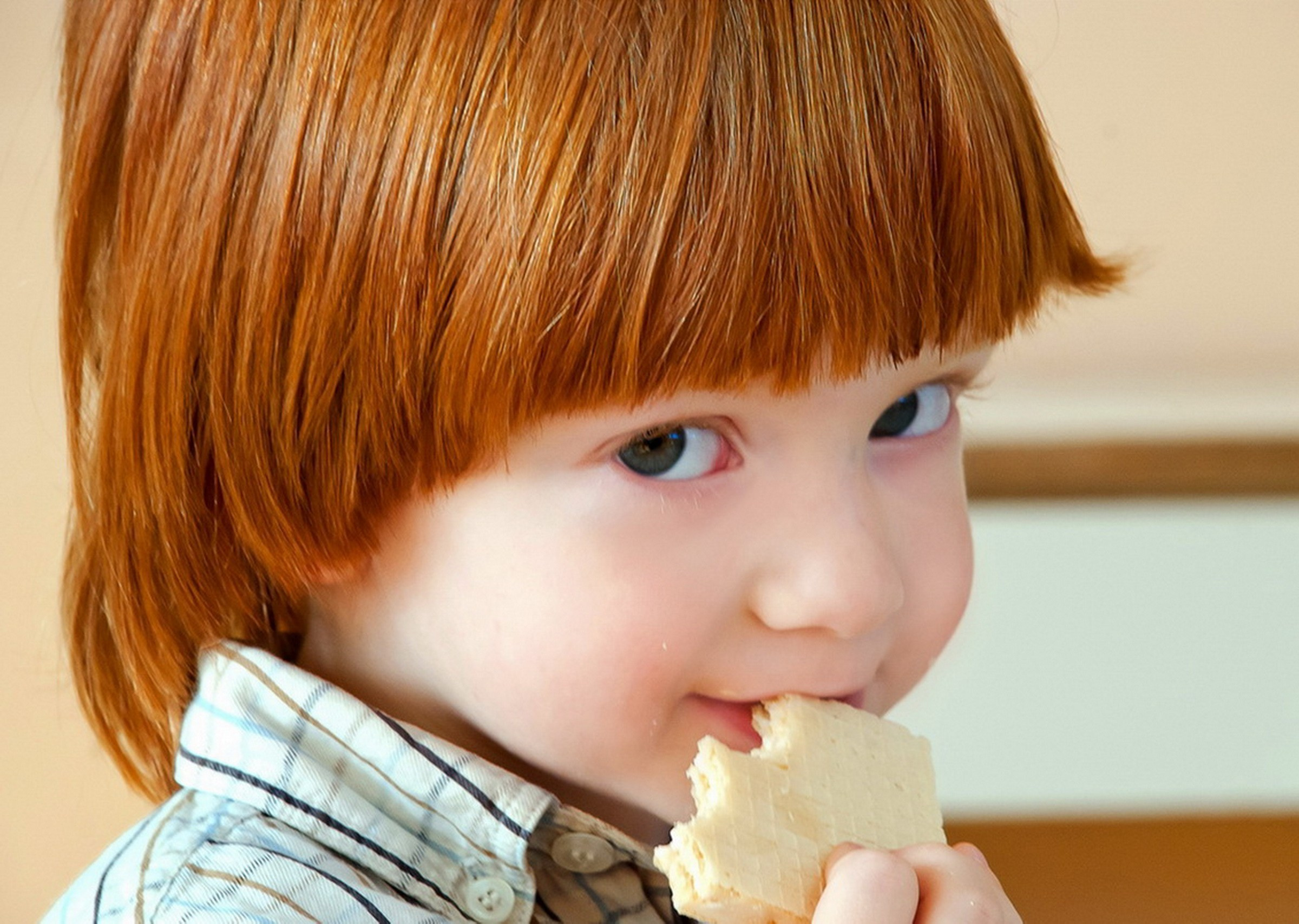 Детский сад. Выпускные альбомы Брест