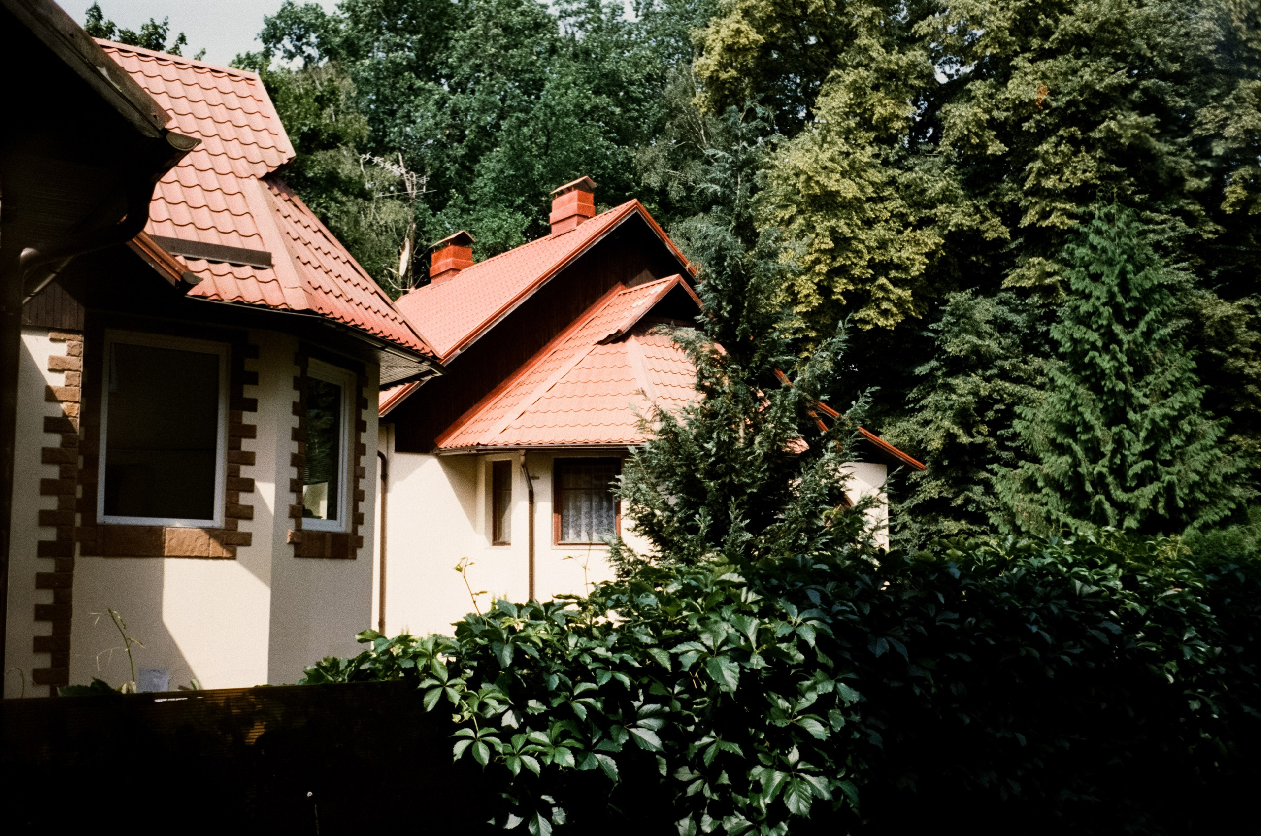 29 и 30 июня / Светлогорск и Янтарный / Minox 35 GT (2)