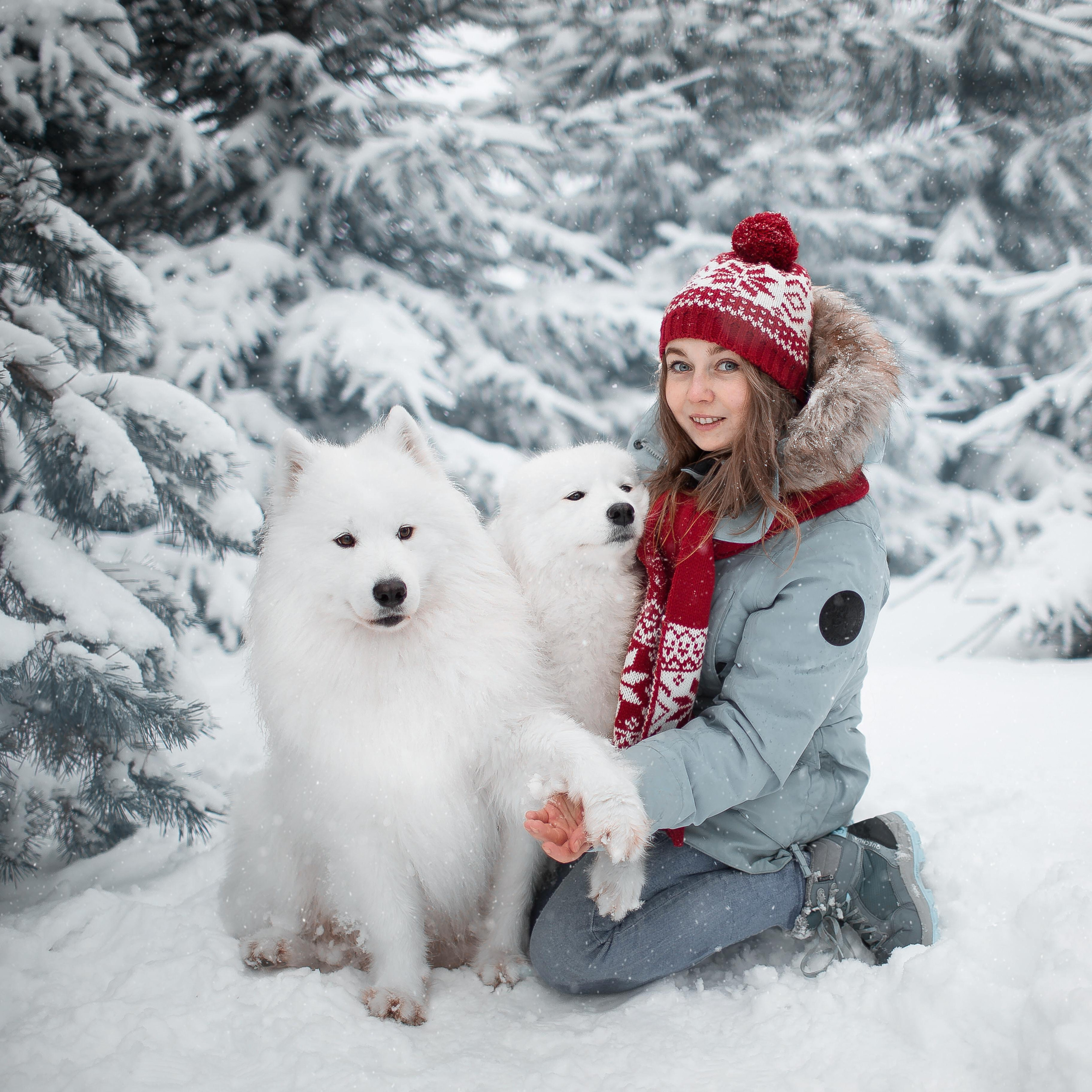 Фотограф анималист в Москве Майорова Евгения