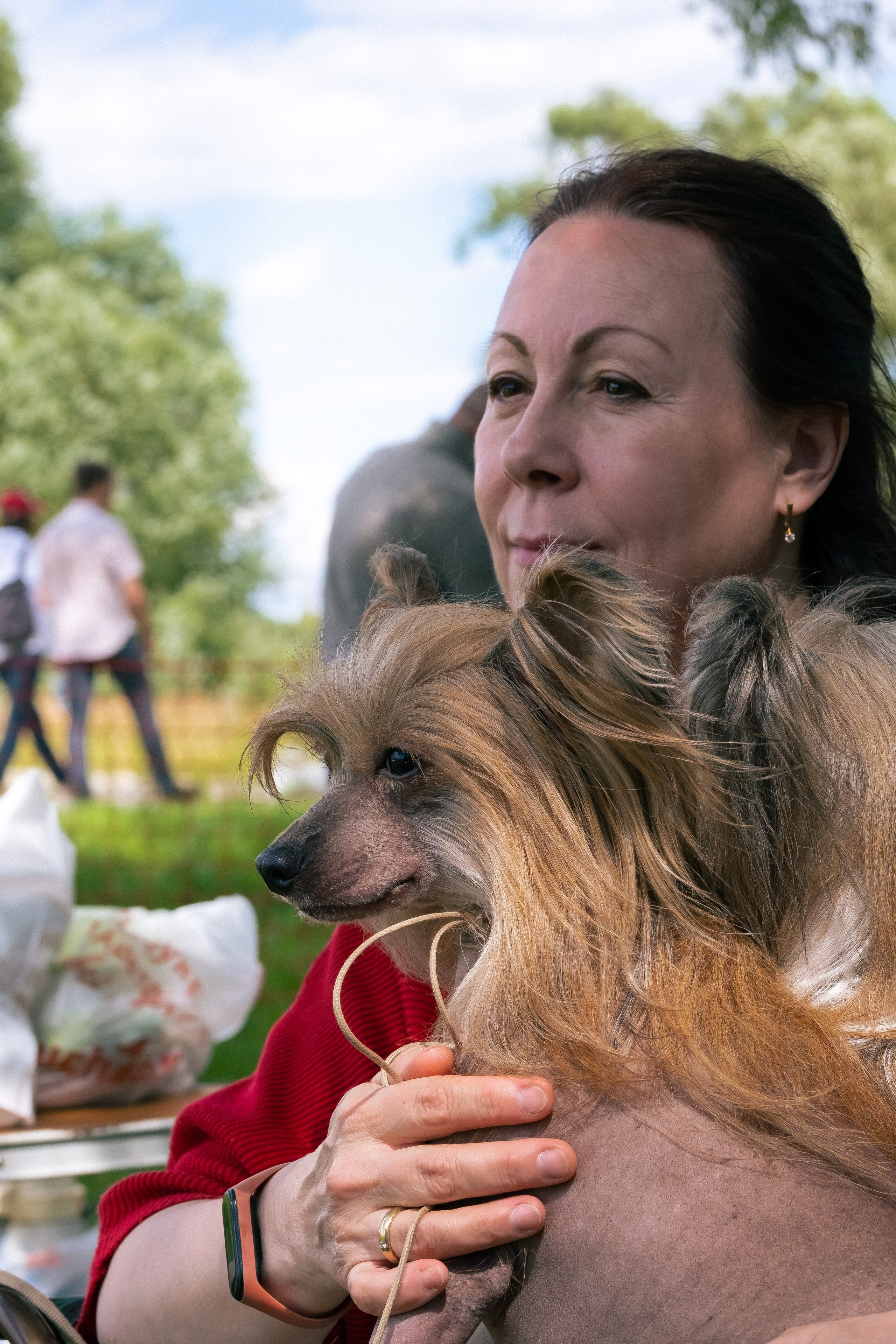 Poale Ell Cooper. Chinese Crested Dog Kennel Poale Ell