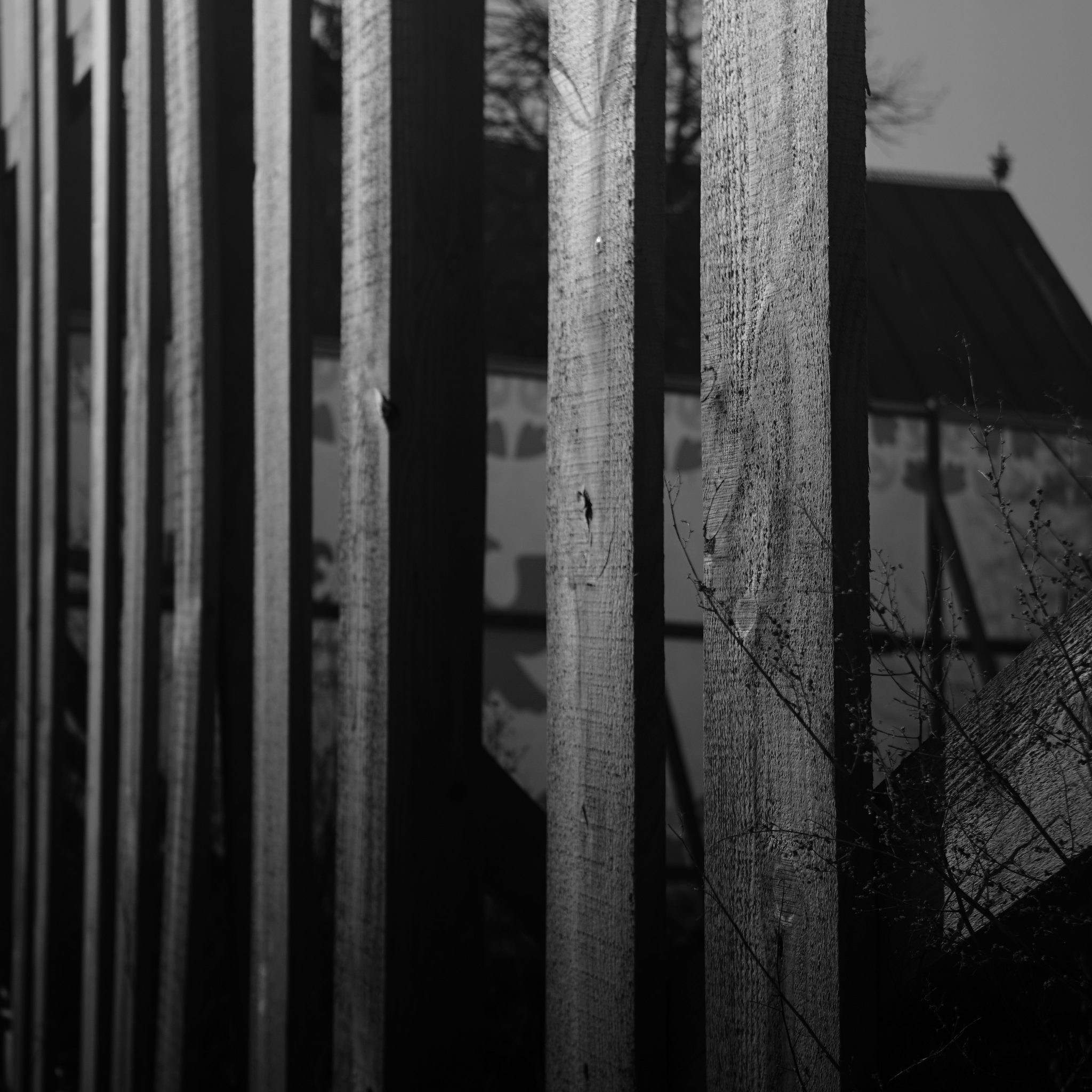 Суздаль, весна в золотом кольце, Кидекша, Путешествие выходного дня