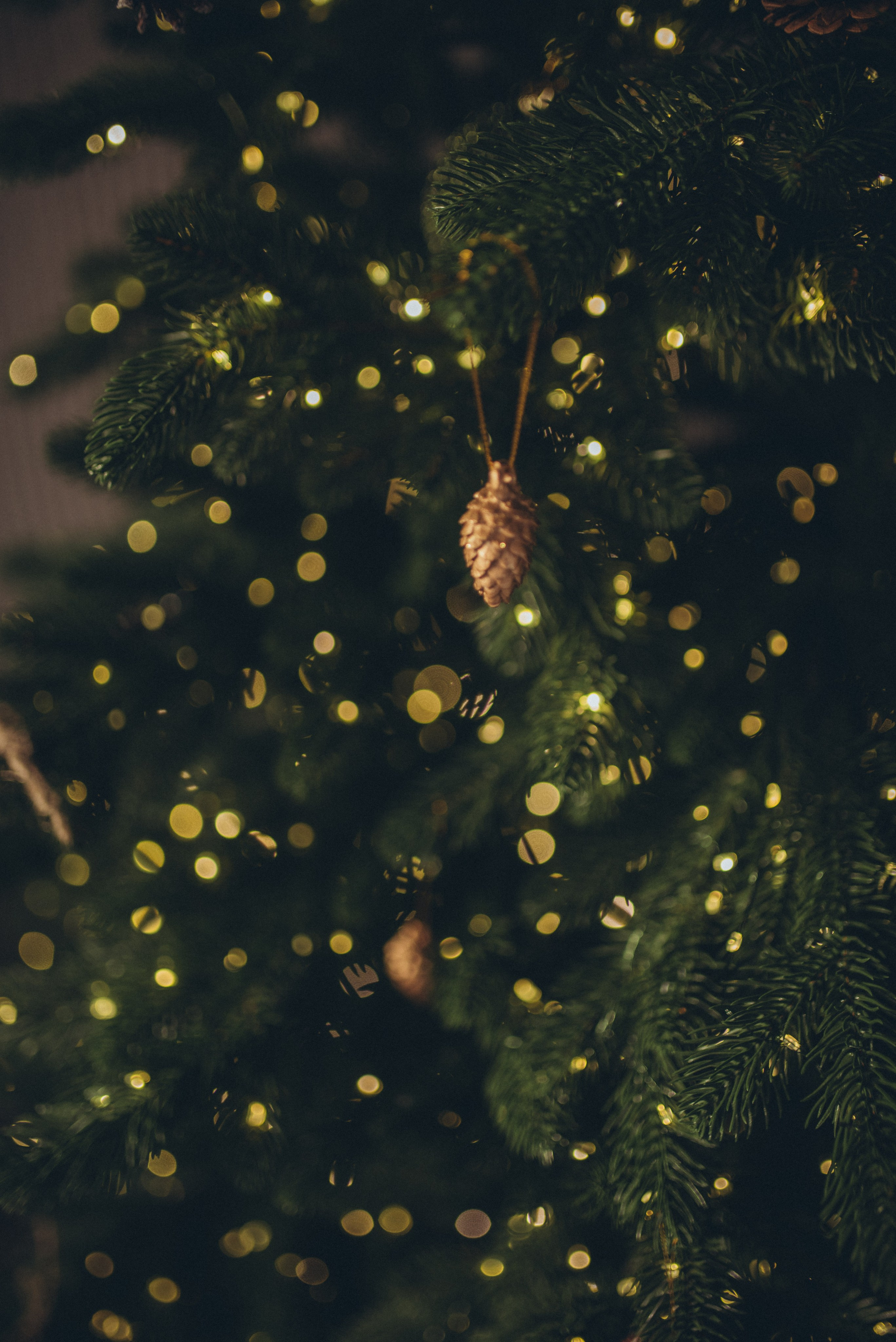 Фотограф в Сочи — Маргарита Поганова