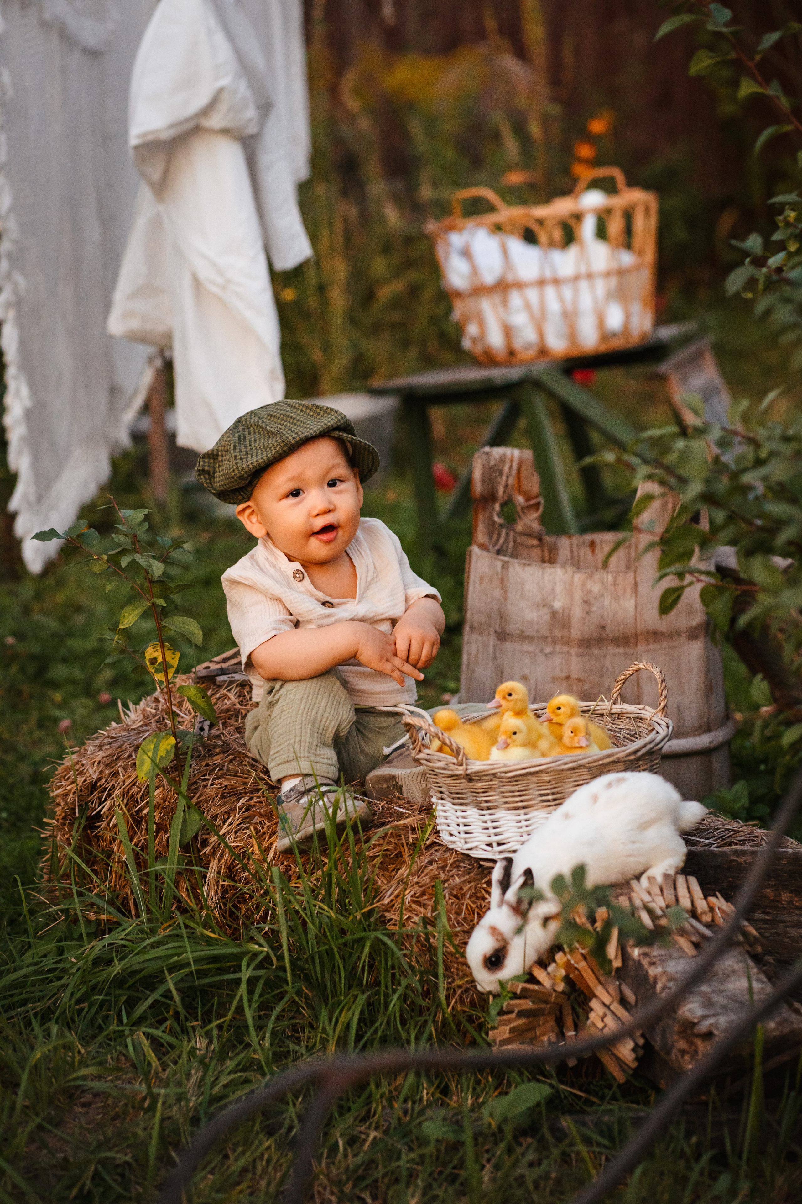 Фотосессии с животными. Мои работы