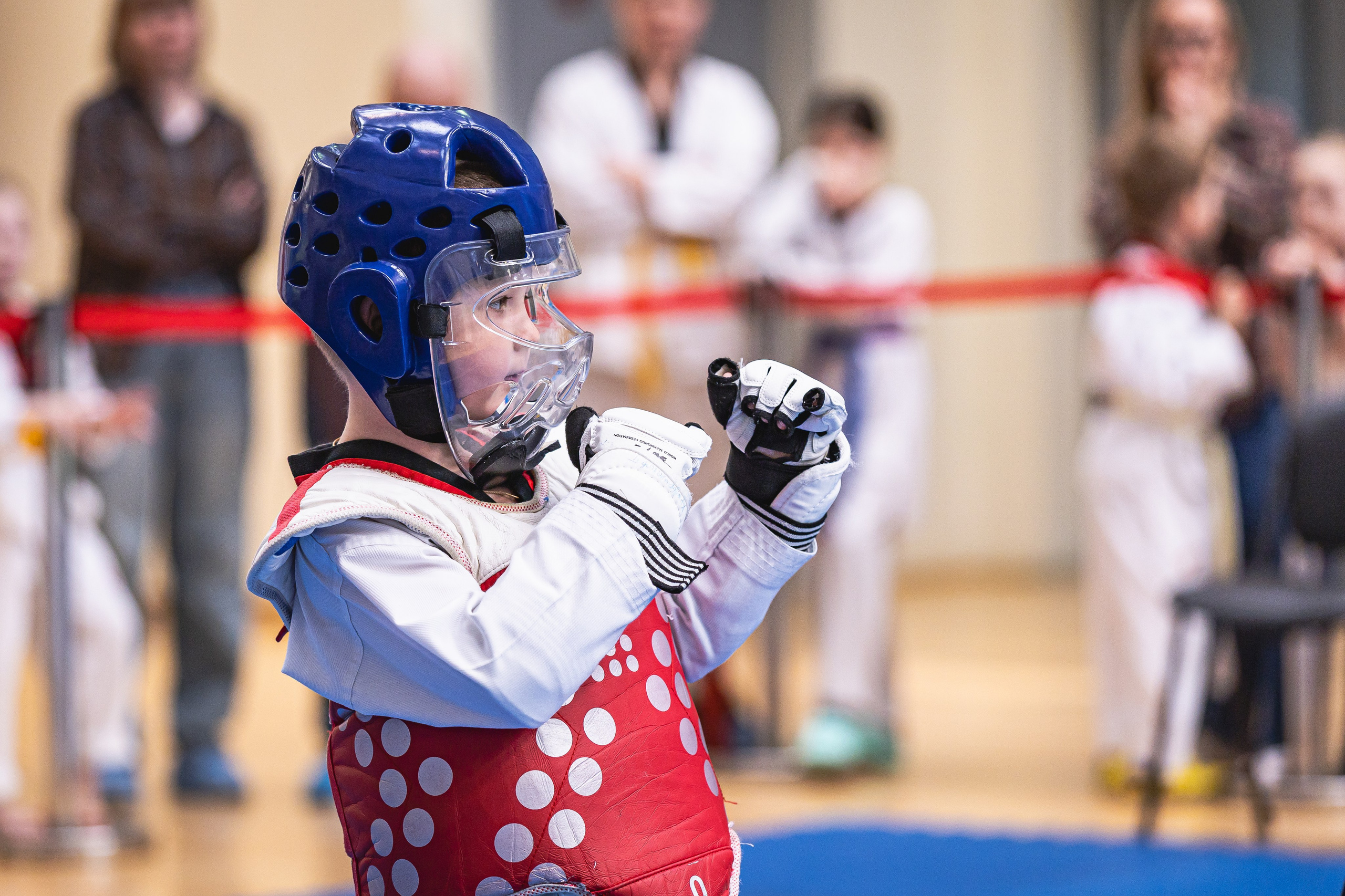 Турнир ВДЮФСОО «ФЕДЕРАЦИЯ ДЕТСКОГО ТХЭКВОНДО РОССИИ» и МОО СПКЕ «ЭРИДАН» по «СПОРТИВНОМУ БОЮ КЕРУГИ». Спортивный фотограф Максим Серегин