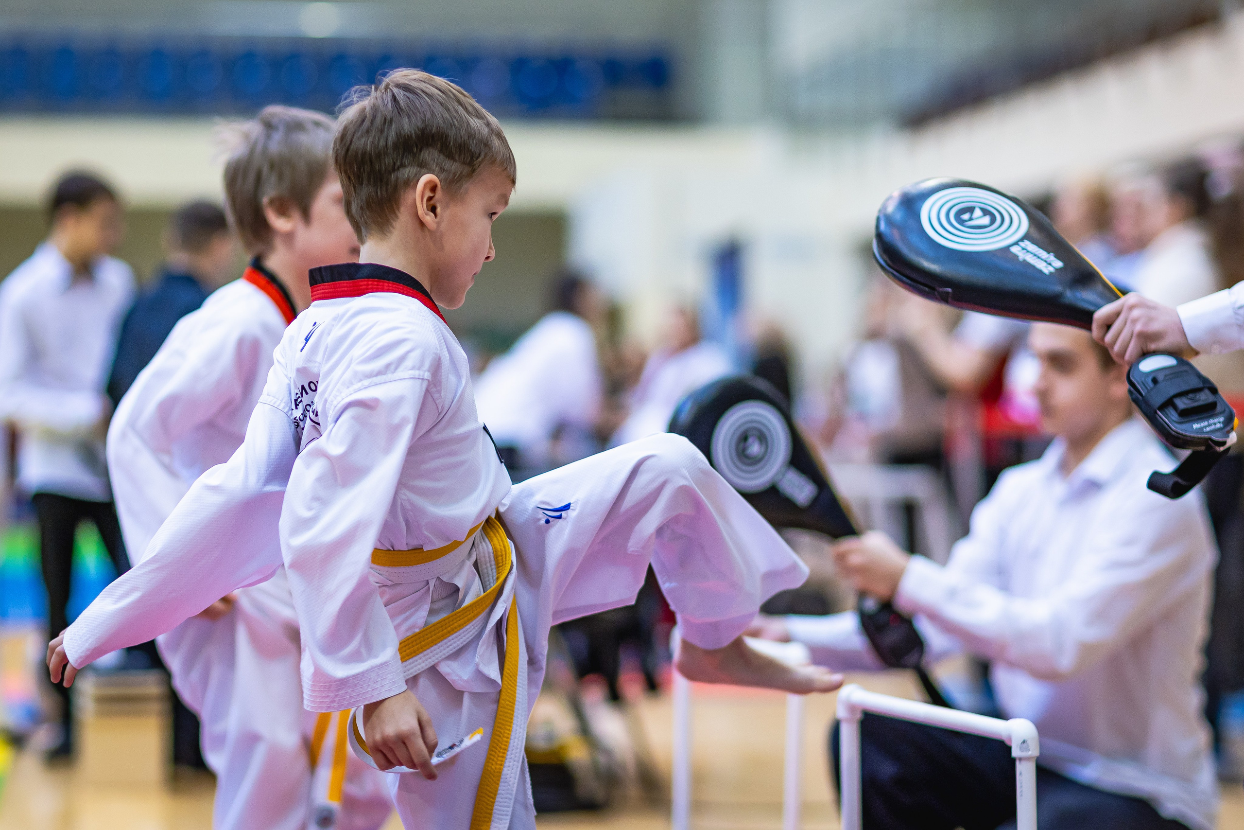 Первенство ВДЮФСОО «ФЕДЕРАЦИЯ ДЕТСКОГО ТХЭКВОНДО РОССИИ» и МОО СПКЕ «ЭРИДАН» по «СИЛОВОМУ МНОГОБОРЬЮ». Спортивный фотограф Максим Серегин