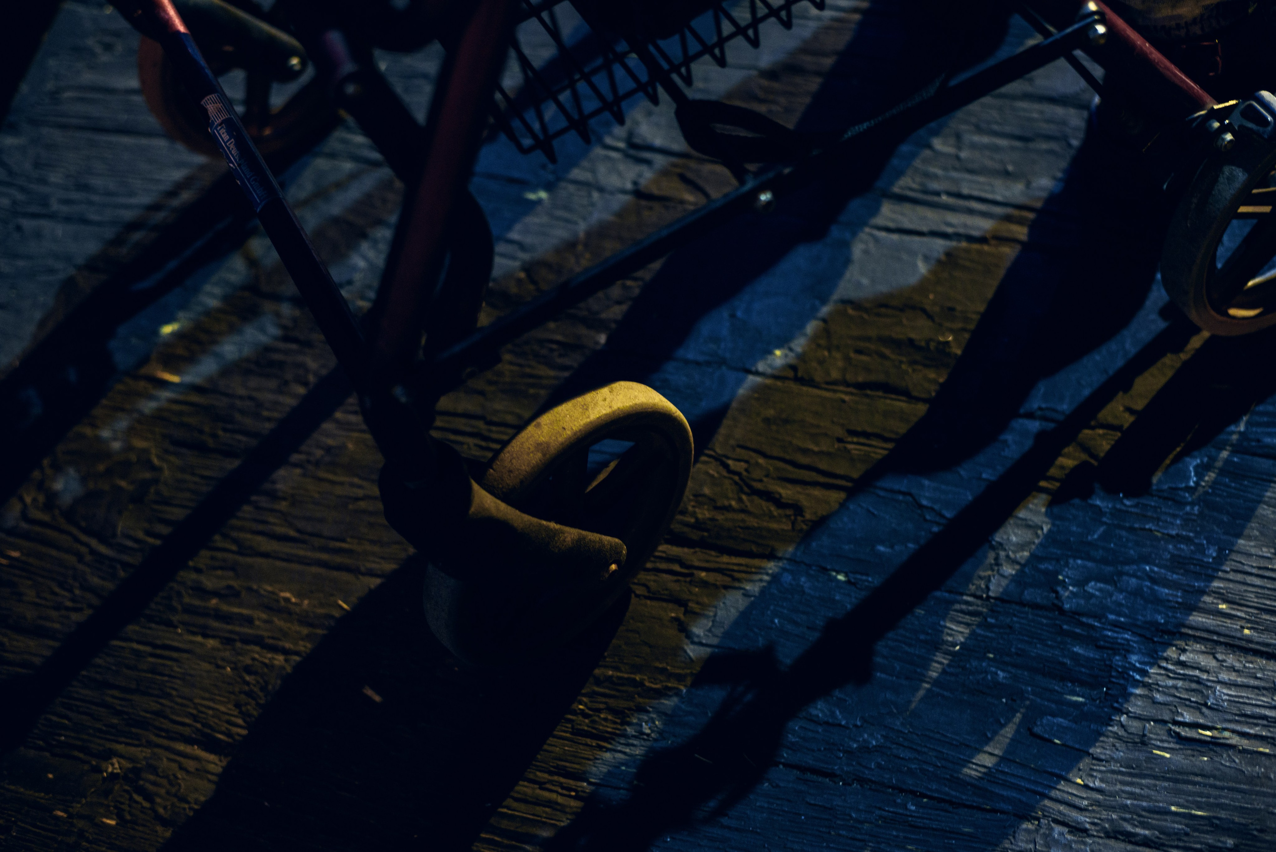 Бронислав Шинкарев Не жалею, не зову, не плачу. Душевная фотография от сердца к сердцу Марина Жиделева фотограф Москва