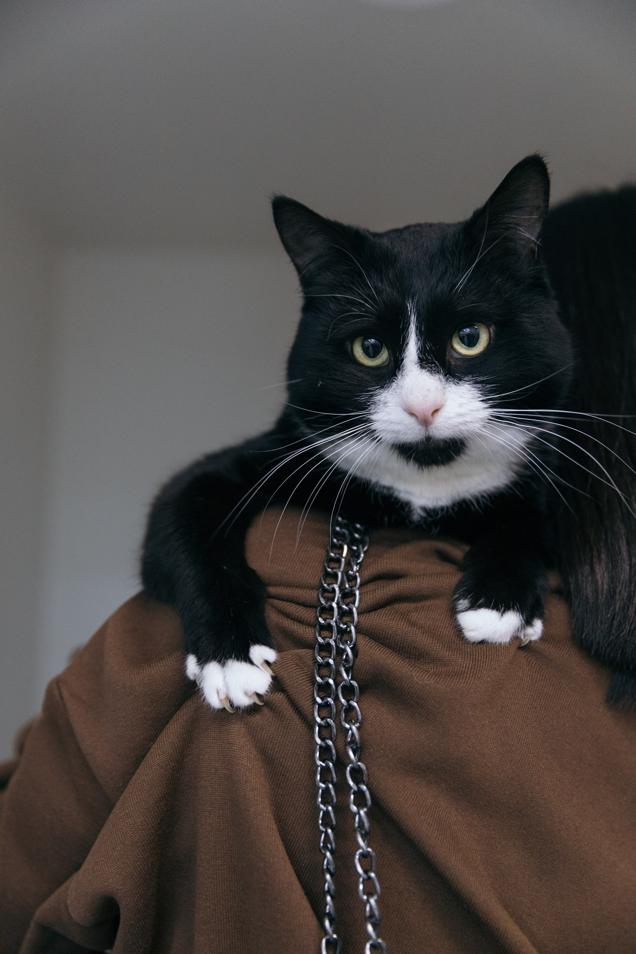 Бренды. Фотограф и коллажист Ольга Шереметьева