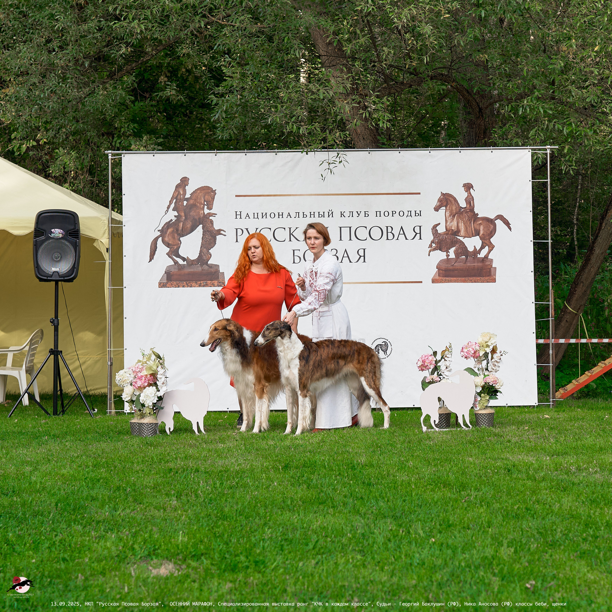 ОСЕННИЙ МАРАФОН | Специализированная выставка породы Русская Псовая Борзая ранг "КЧК в каждом классе"