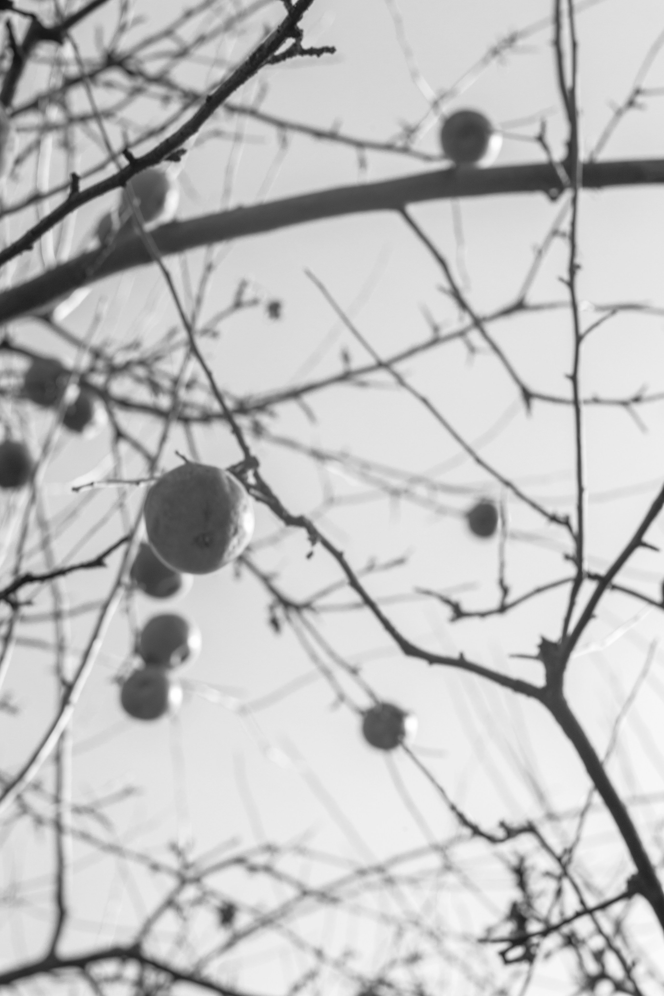 Insula (2021-2022). Вероника Трубникова — фотохудожница / Veronika Trubnikova — photoartist