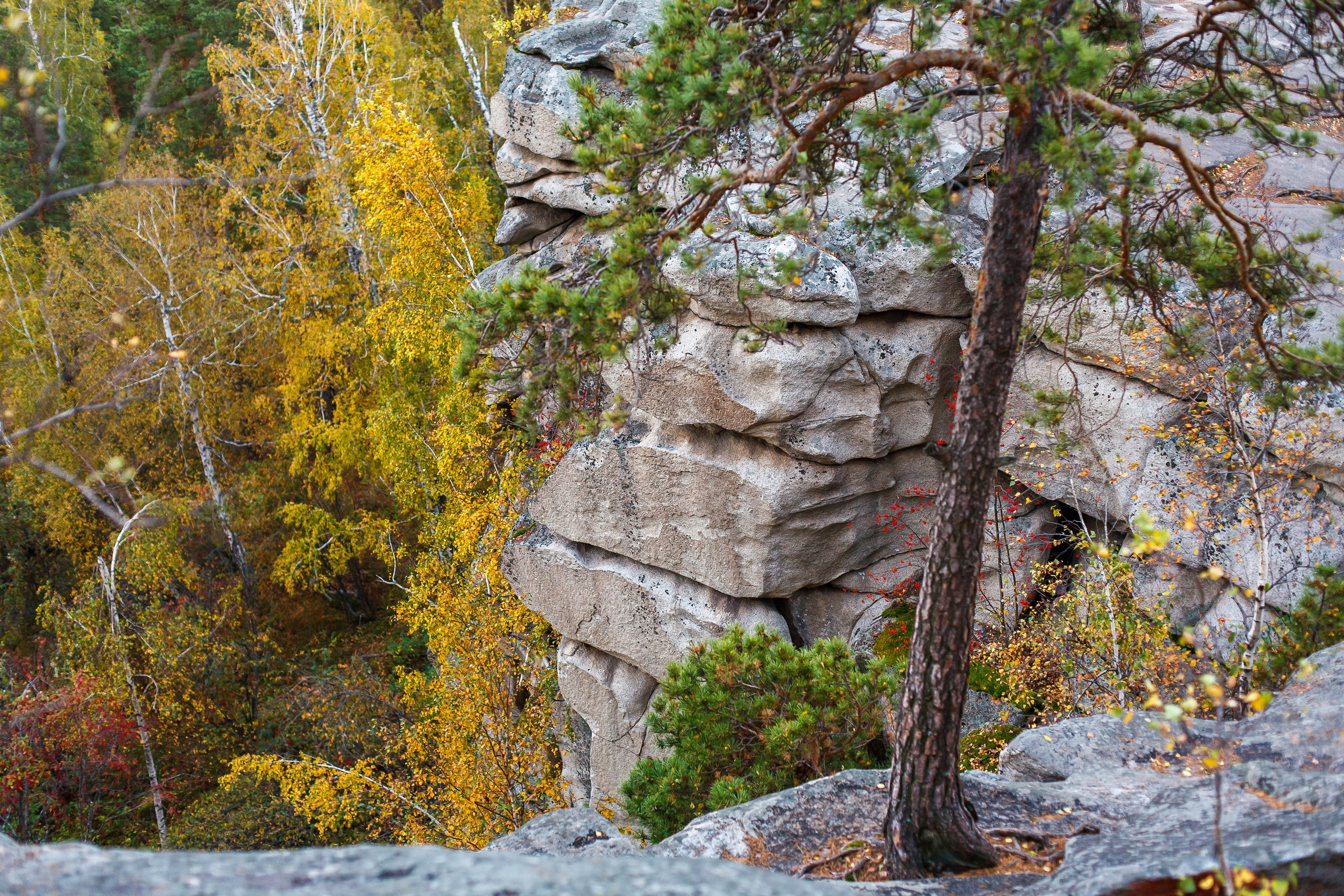 Фотопоход на Шихан «Клопы и Шарлотка!». Фотограф Челябинск · Ольга Серебрякова