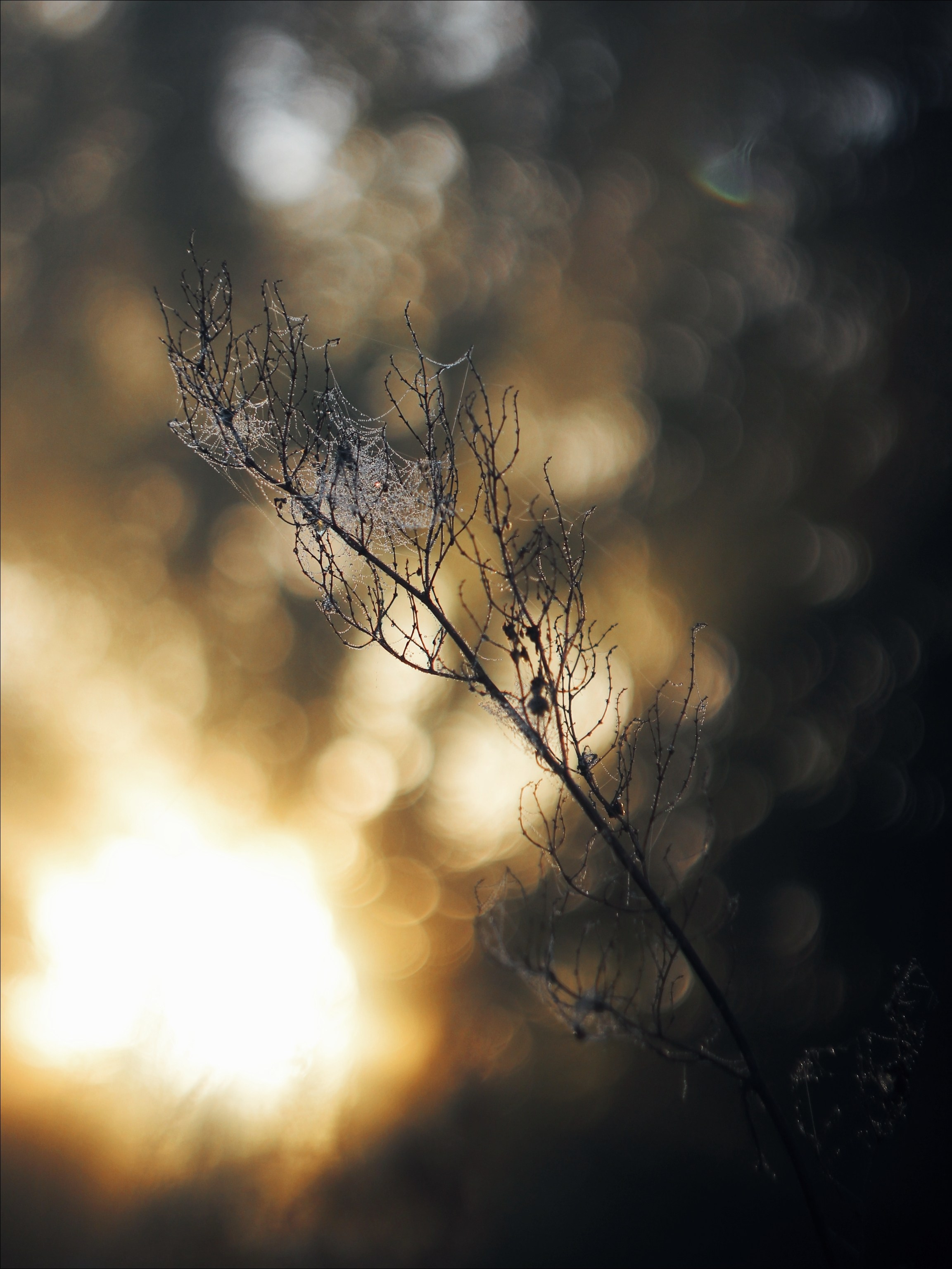 Опустошенность. С любовью, фотохудожник