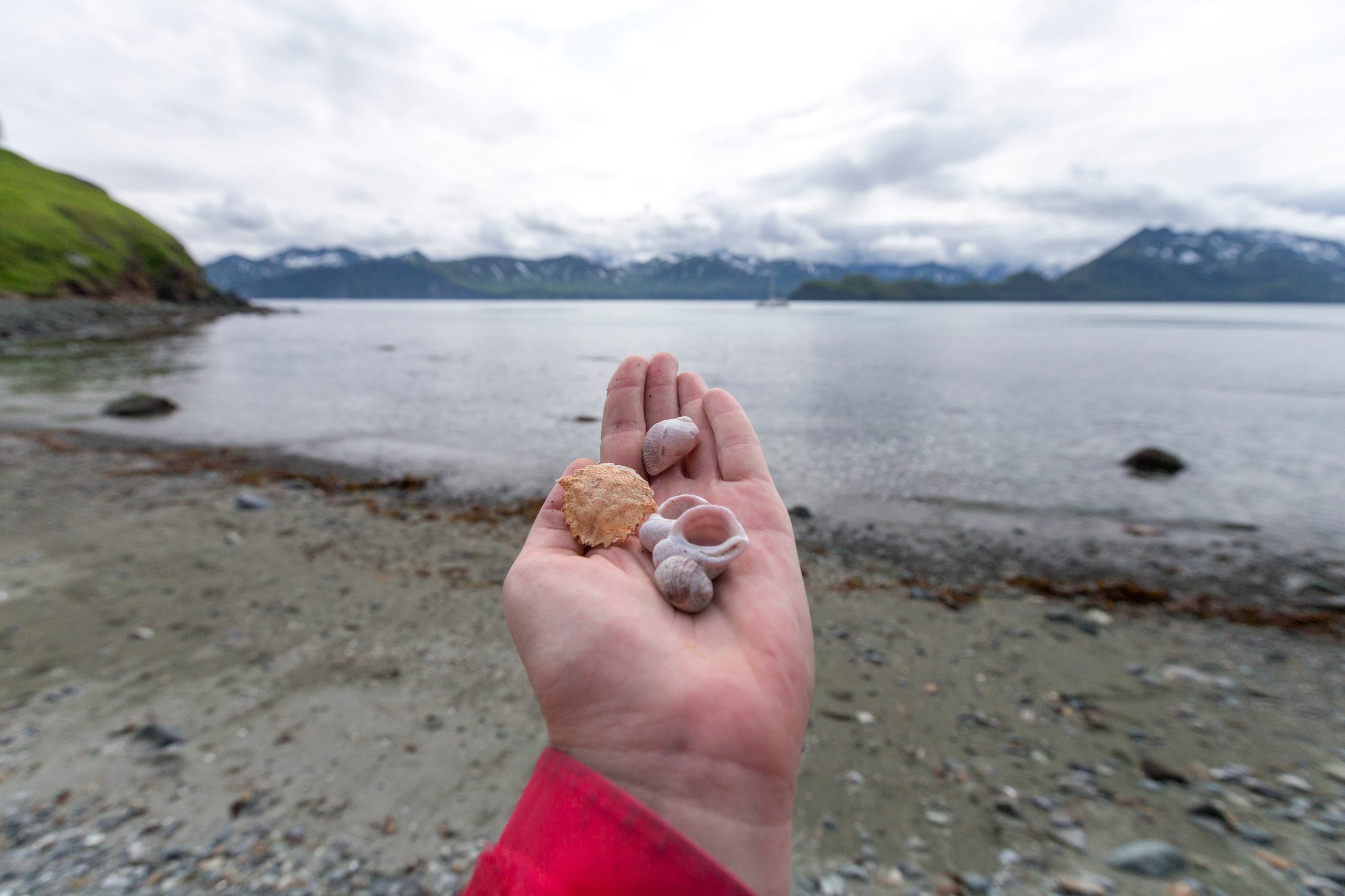 Мыс Зелёный — вулканические скалы и океанские виды. Время Камчатки: чтобы найти свой путь, нужно скорость умножить на время