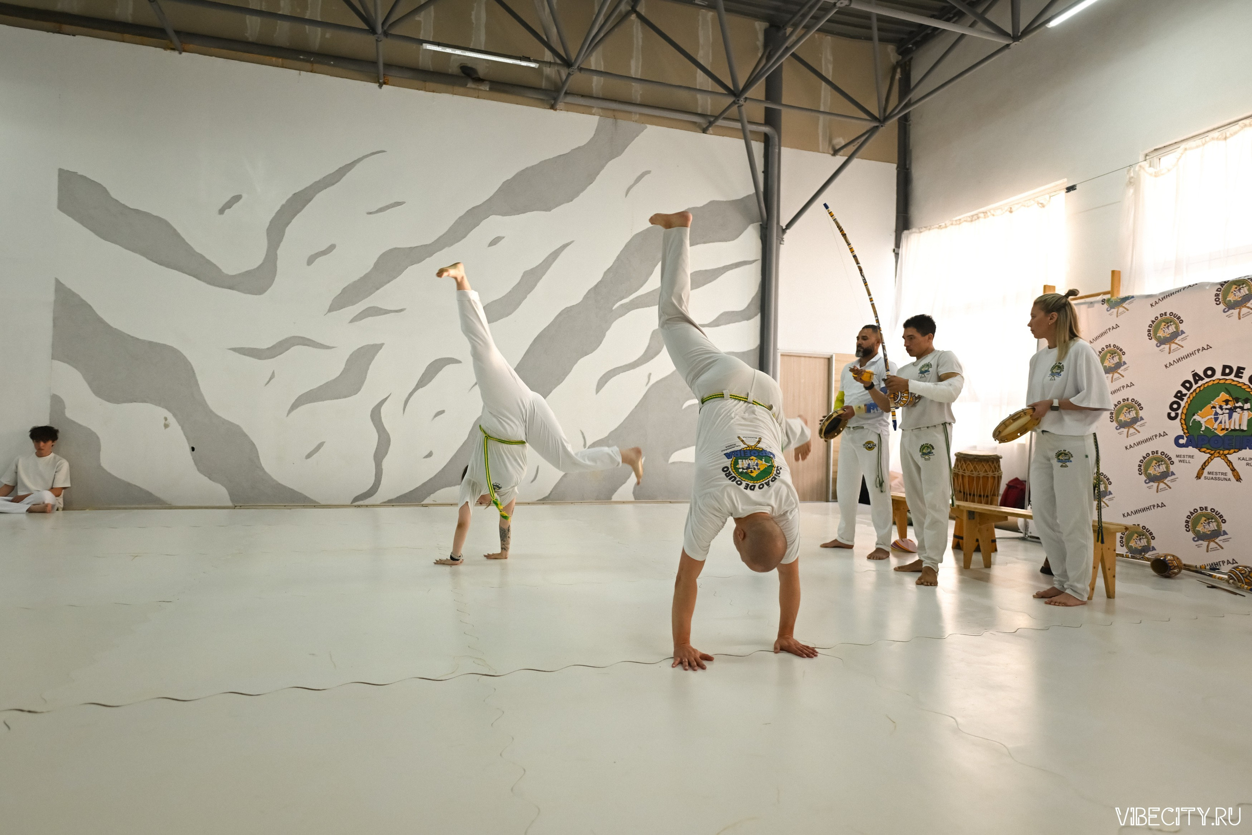 Capoeira: 4-е batizado e Troca de cordao. VIBECITY.RU Вайб Сити Ру Фоторепортажи Фотоотчеты Калининград