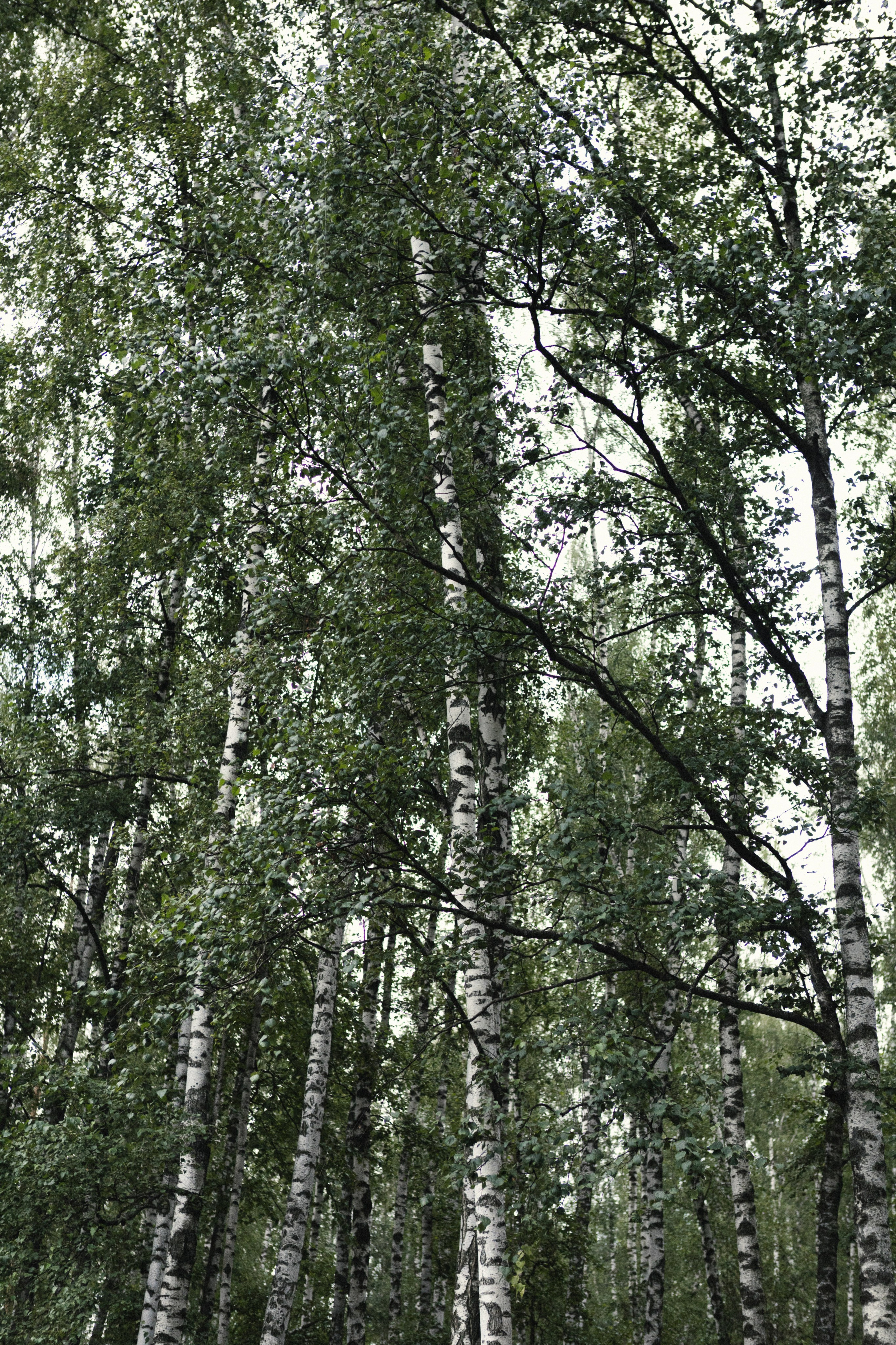 Вика и Лёша. Фотограф Дубровская Виктория