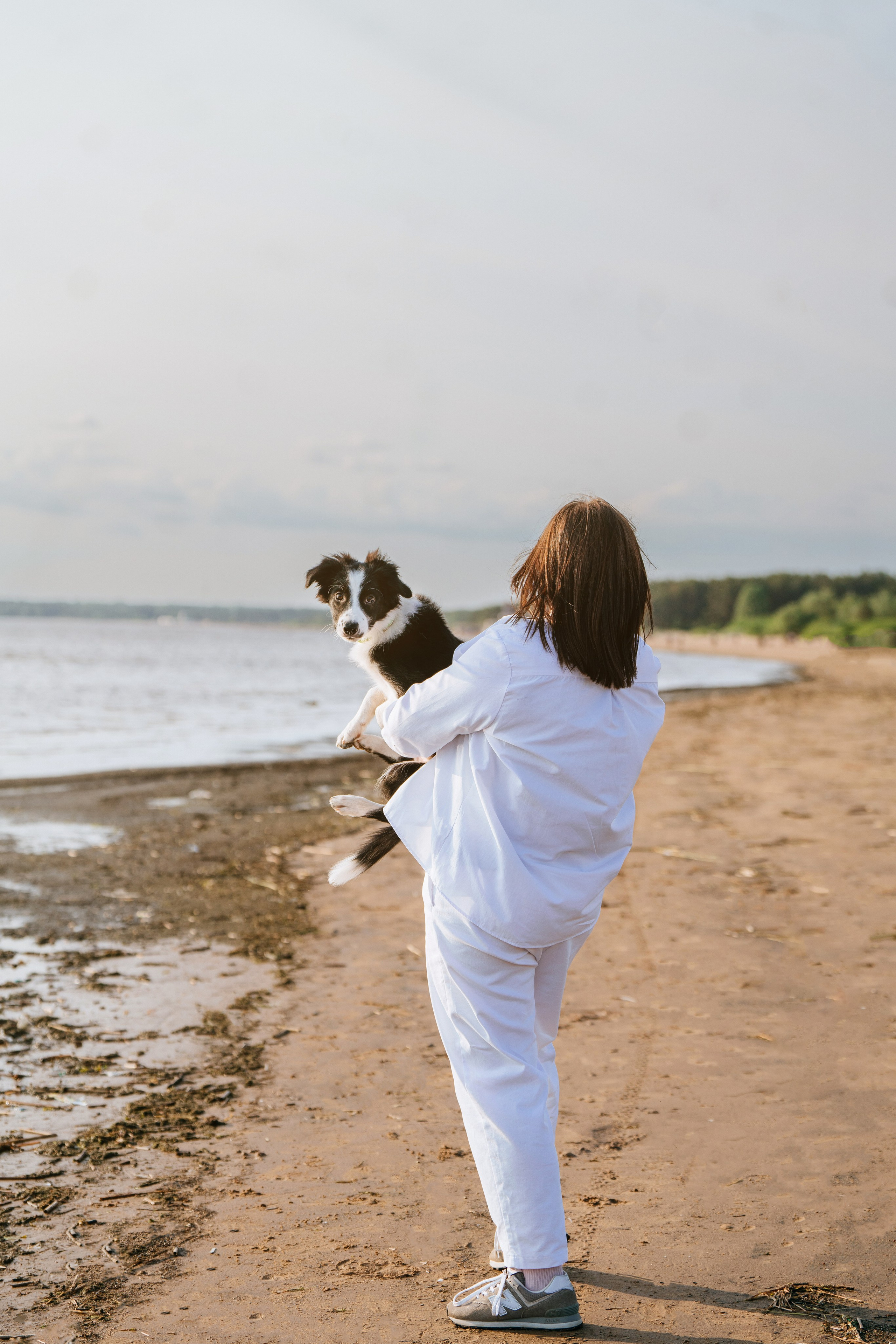 Фотосессия со щенками колли. Фотограф анималист в Спб недорого Олеся Майорова