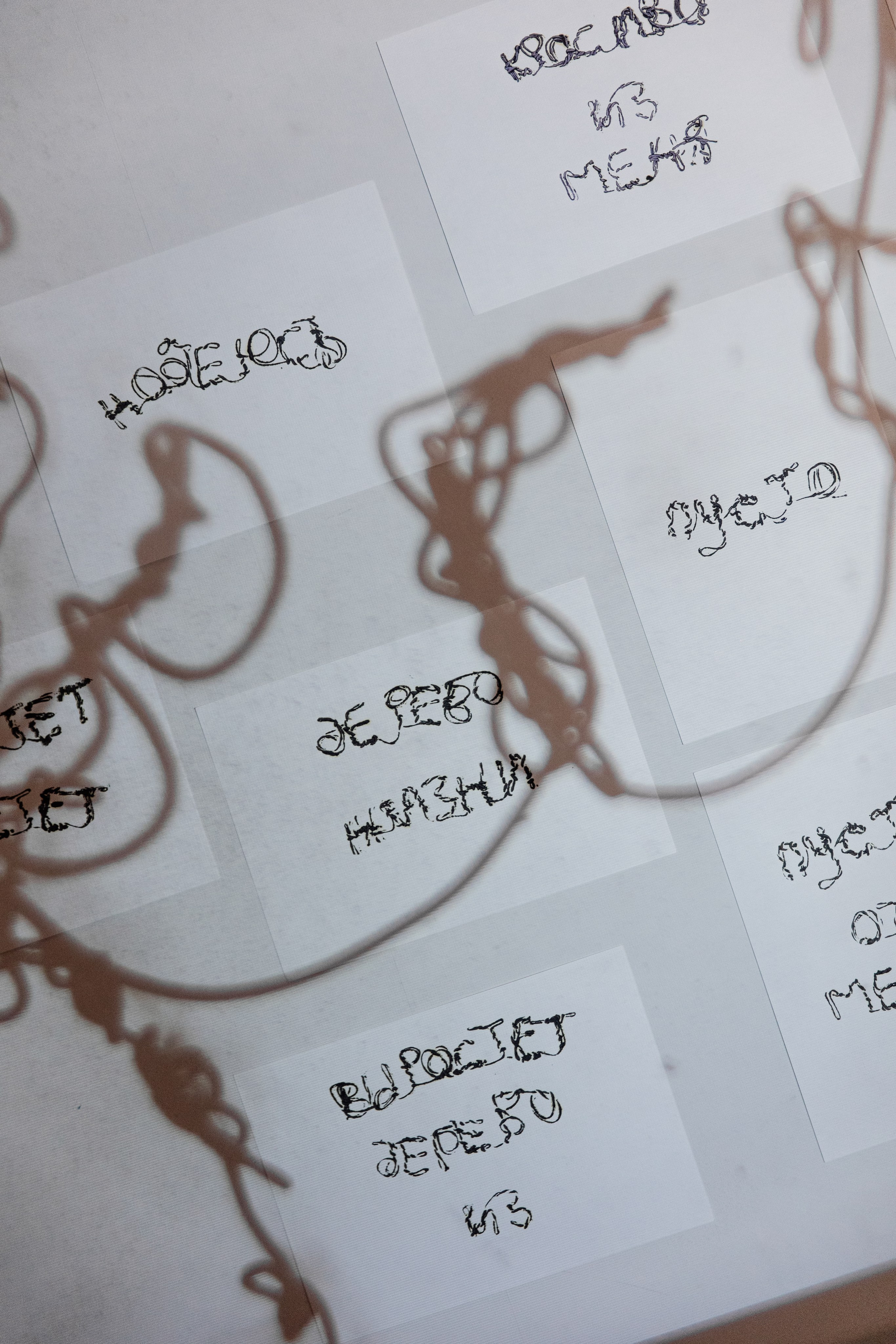 Как мне называть тебя? Когда я разбужу тебя. Елизавета Иванова — независимый куратор, культуролог, исследователь художественных практик, художник