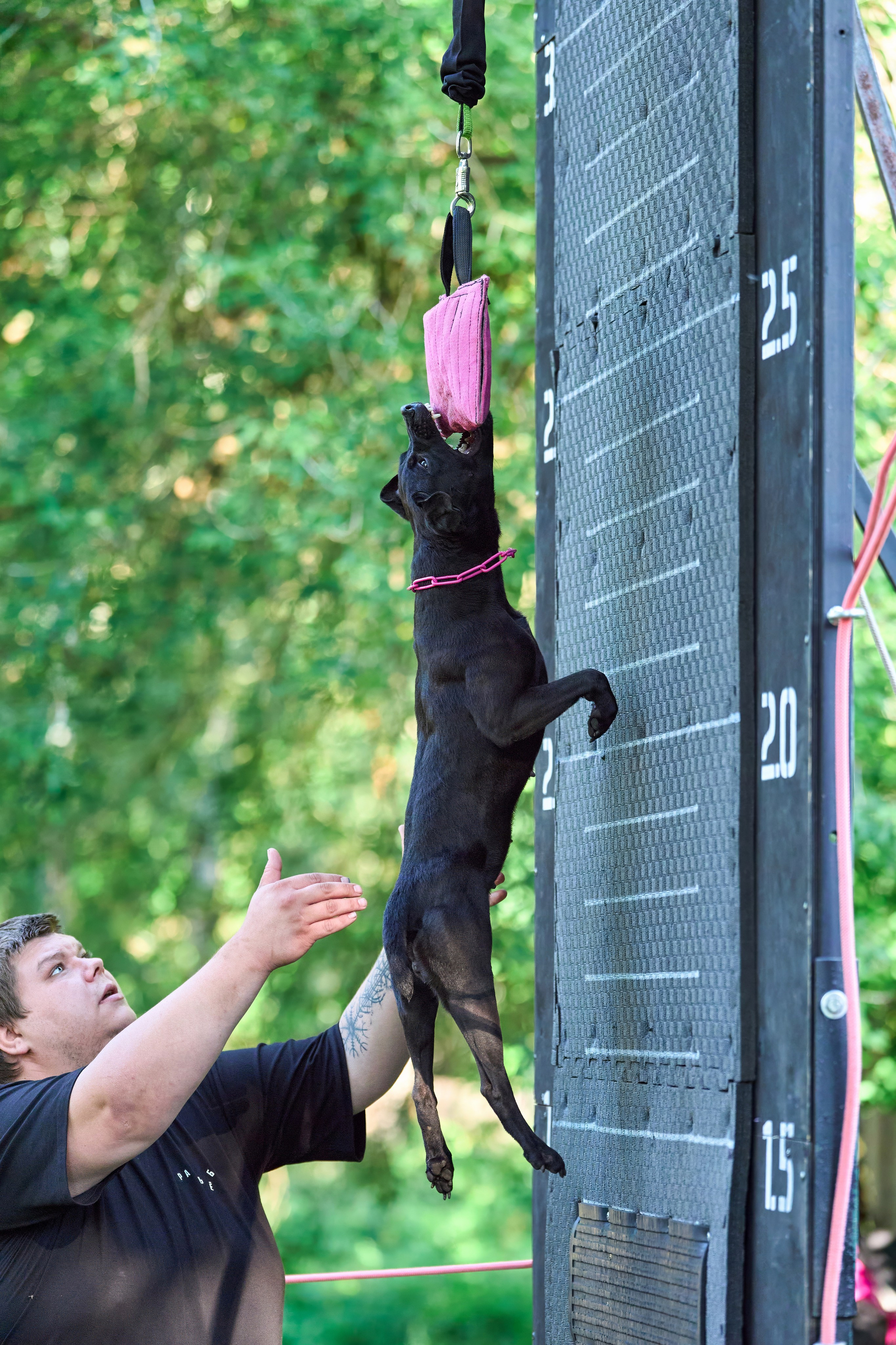 Jump'n'Gym JUMP! — 2024. Фотограф-анималист Михаил Манухин