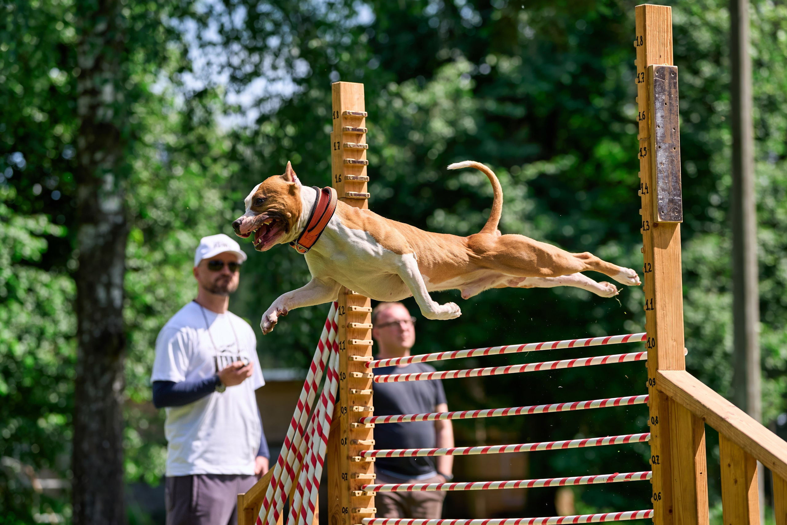 Двухдневные соревнования «Jump'n'Gym Fest — 2024». Фотограф-анималист Михаил Манухин