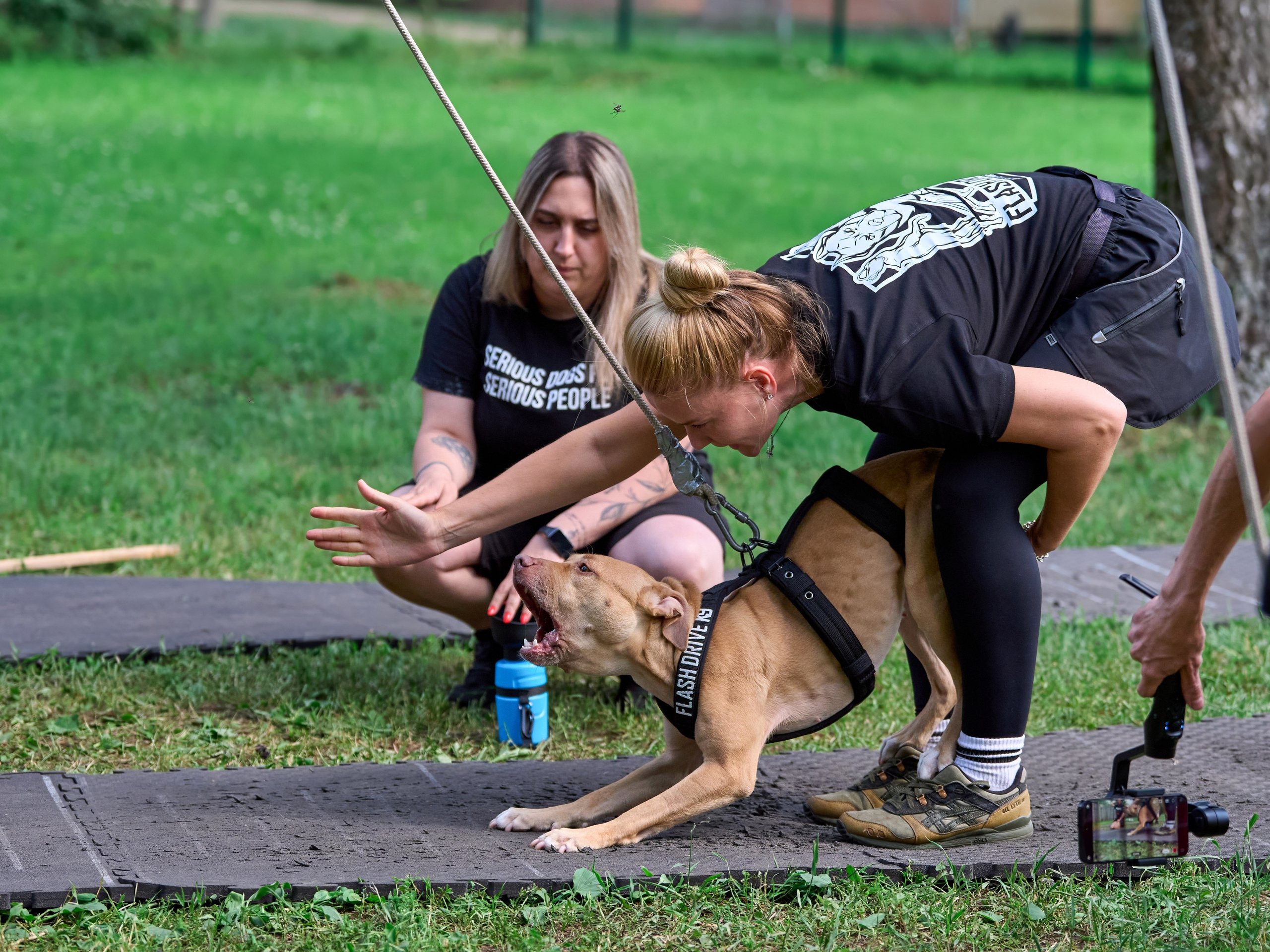 Двухдневные соревнования «Jump'n'Gym Fest — 2024». Фотограф-анималист Михаил Манухин