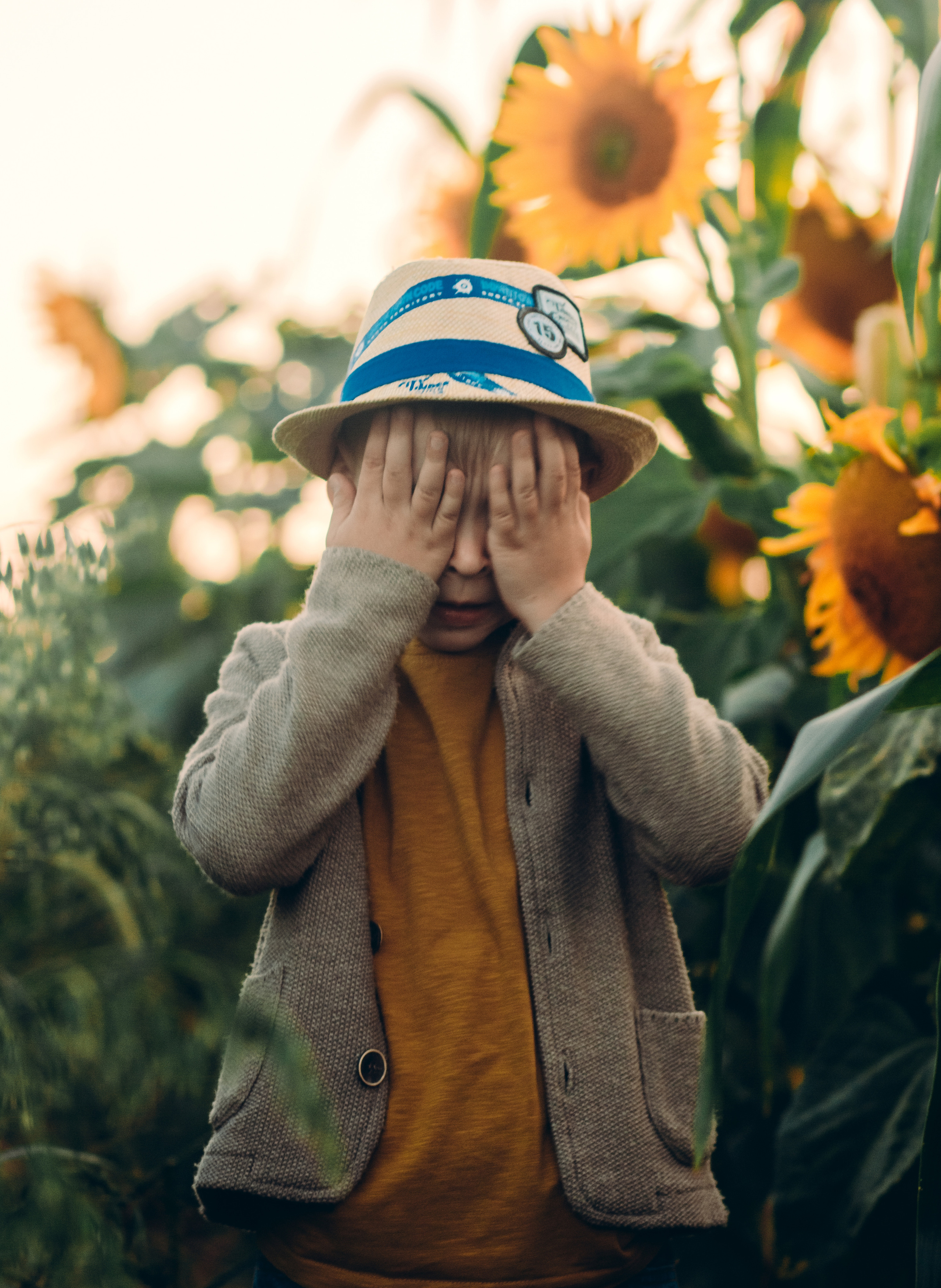 Подсолнухи. Фотограф Григорьева Ольга. Портретная, семейная съёмка, Love Stori, видеосъёмка в городе Чита. Выпускные альбомы, фотокниги