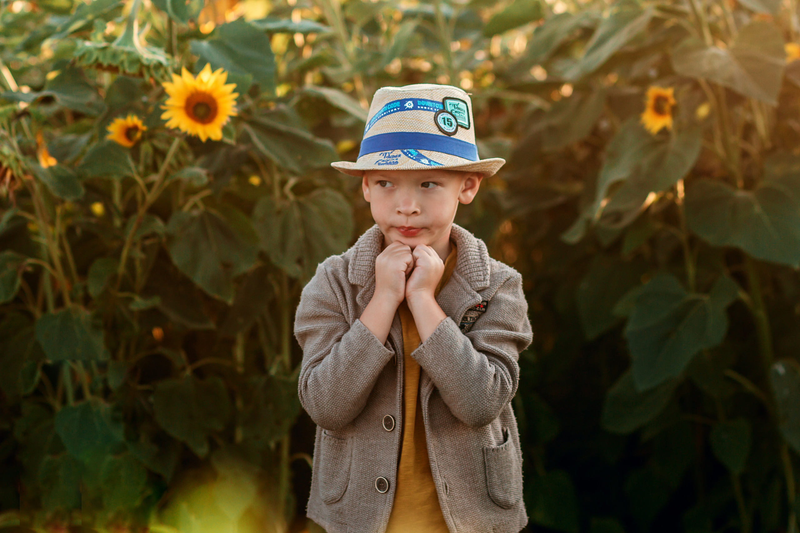Подсолнухи. Фотограф Григорьева Ольга. Портретная, семейная съёмка, Love Stori, видеосъёмка в городе Чита. Выпускные альбомы, фотокниги