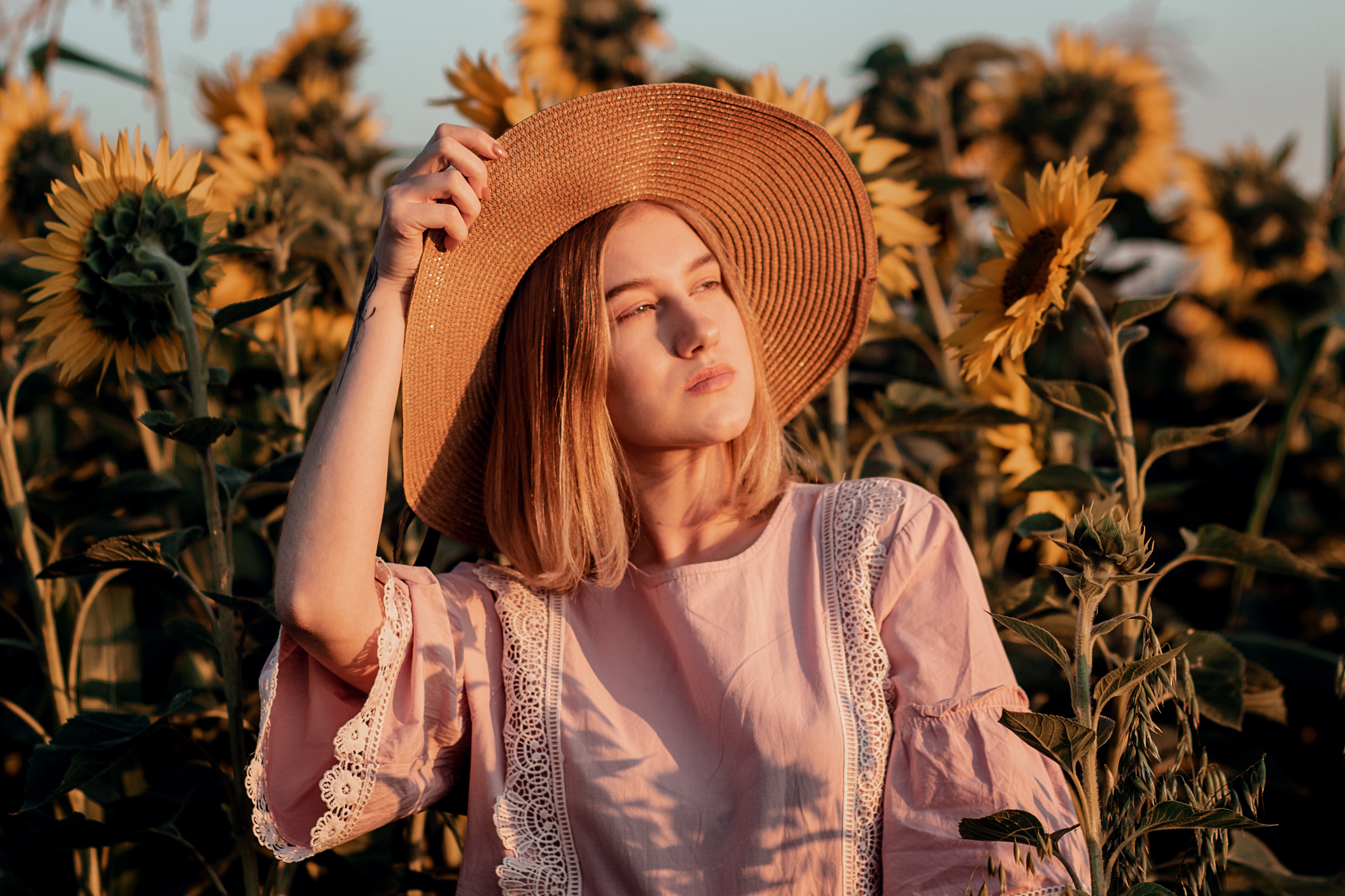 Подсолнухи. Фотограф Григорьева Ольга. Портретная, семейная съёмка, Love Stori, видеосъёмка в городе Чита. Выпускные альбомы, фотокниги