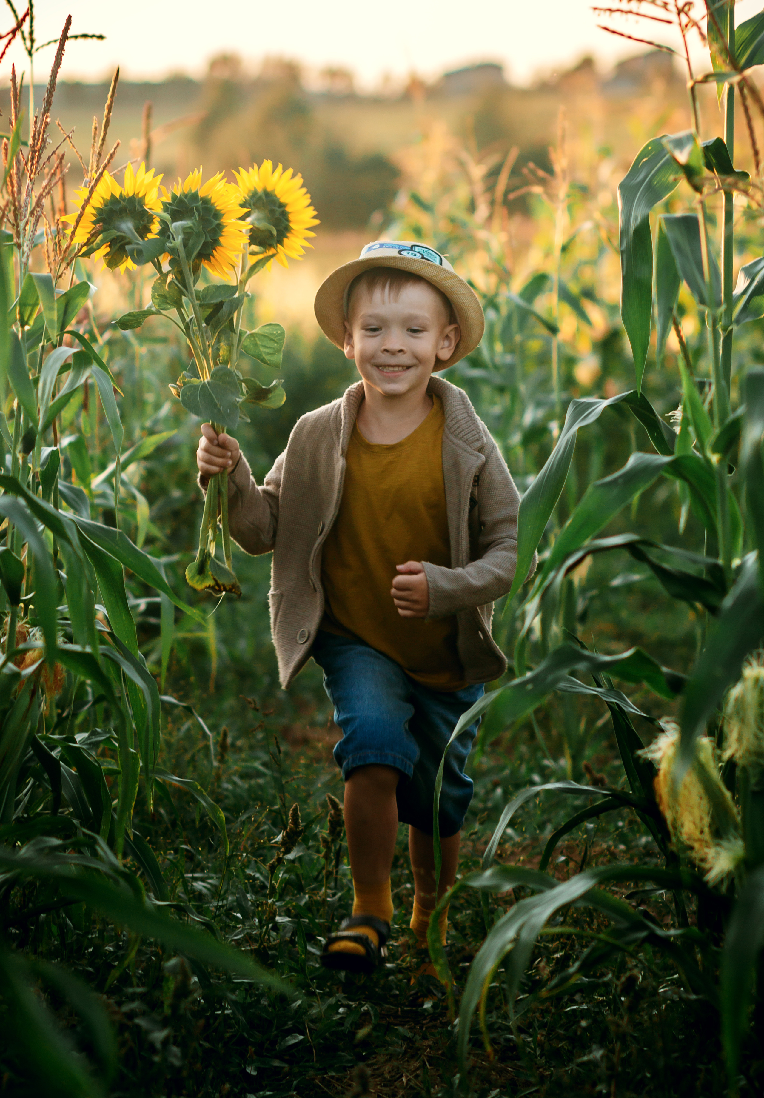 Подсолнухи. Фотограф Григорьева Ольга. Портретная, семейная съёмка, Love Stori, видеосъёмка в городе Чита. Выпускные альбомы, фотокниги